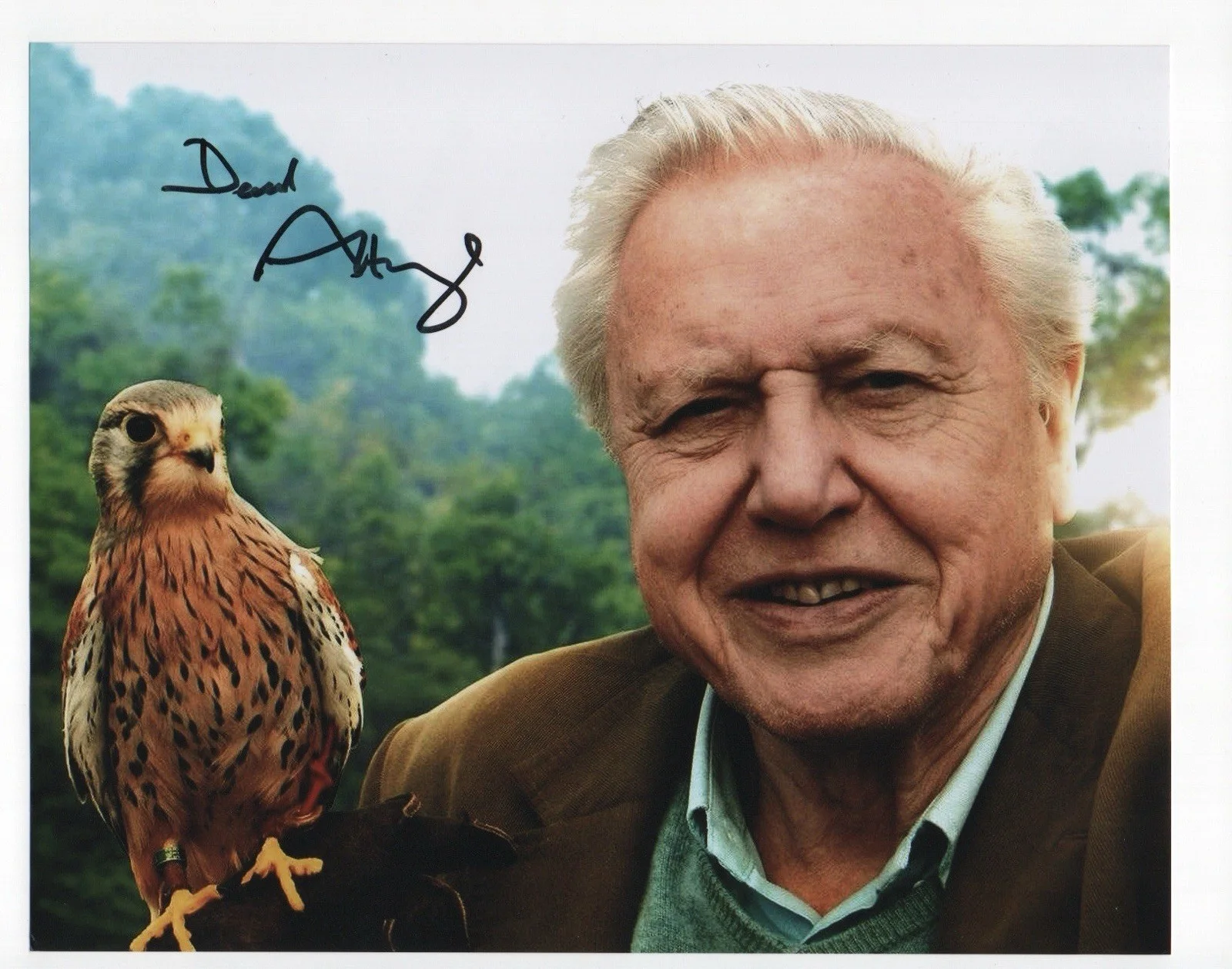 David Attenborough — David Attenborough signed autograph 8x10 Photo No COA Pass BAS PSA JSA Voice