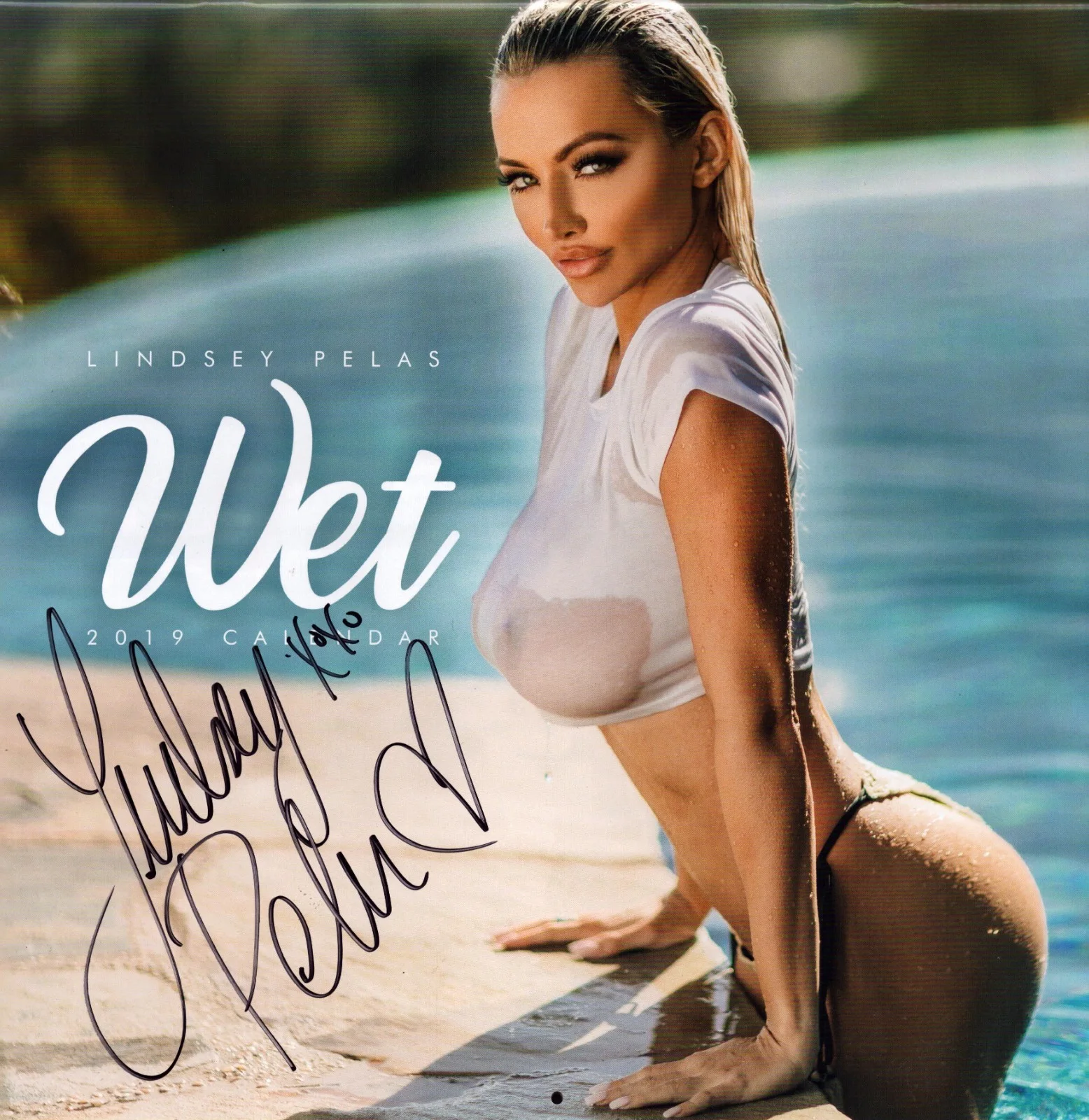 Lindsey Pelas — Lindsey Pelas Signed Official 2019 Calendar BAS COA Playboy FHM Model Wet Auto'd