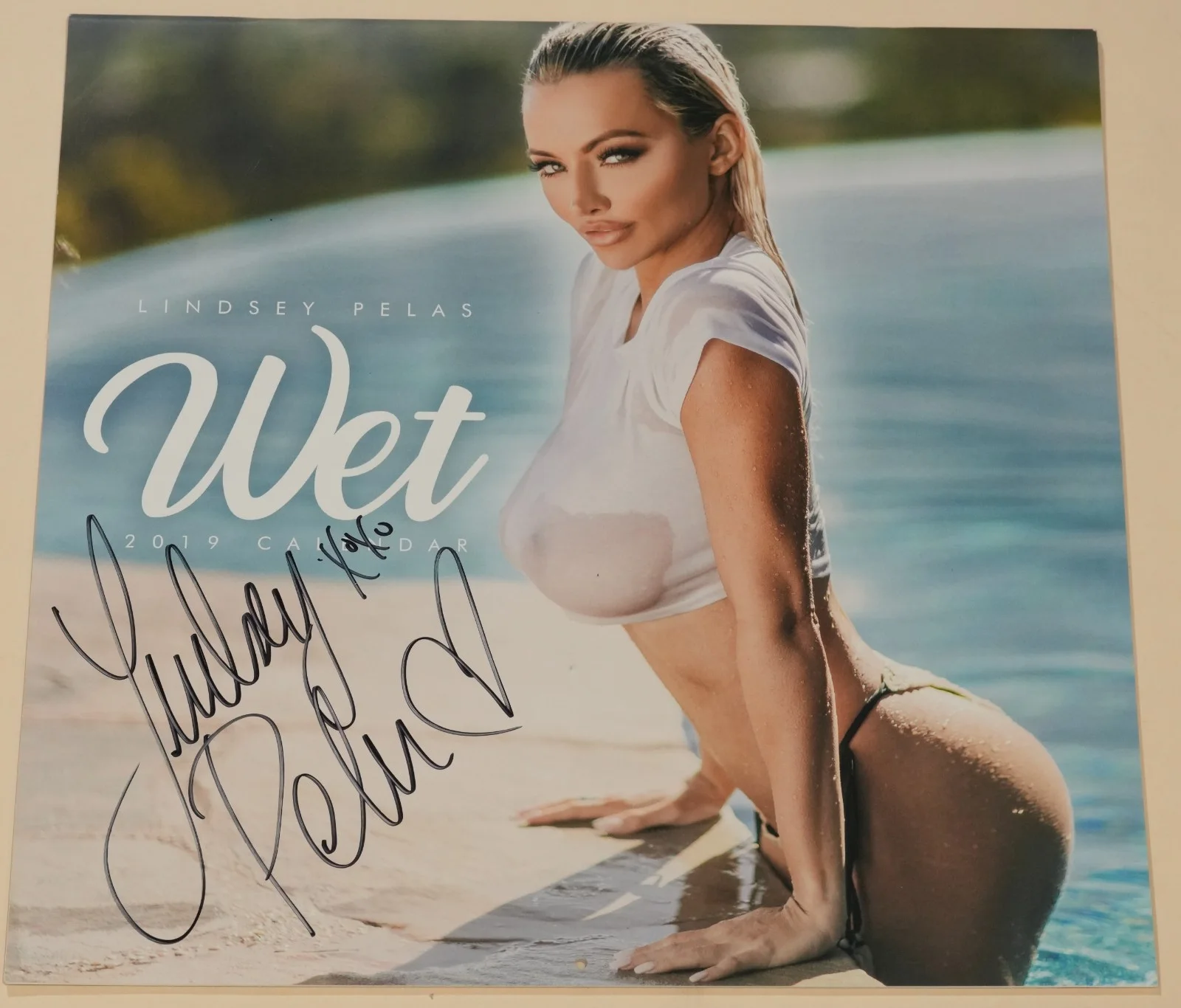 Lindsey Pelas — Lindsey Pelas Signed Official 2019 Calendar BAS COA Playboy FHM Model Wet Auto'd, image 3