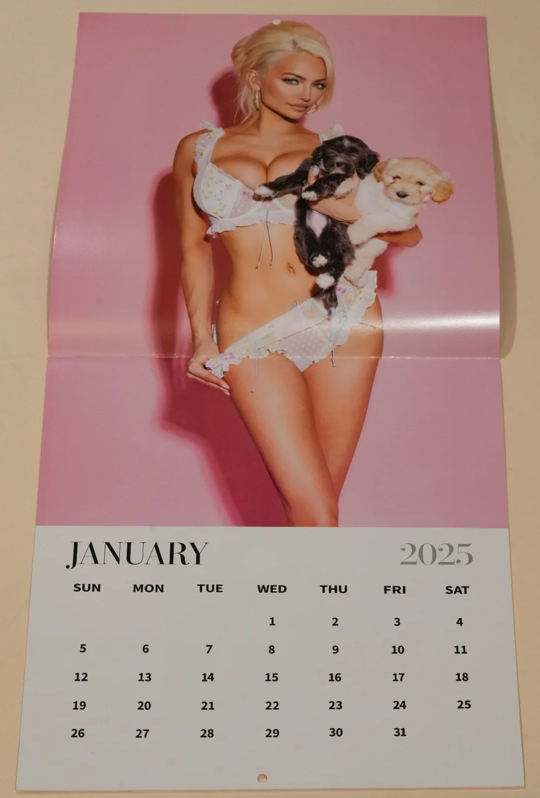 Lindsey Pelas — Lindsey Pelas Signed Official 2025 Calendar BAS COA Playboy Model Puppies Auto'd, image 4