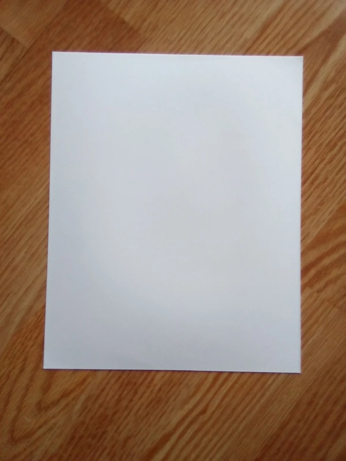 Claudia Jordan "The Price Is Right" Pre Printed Photo PP, image 2