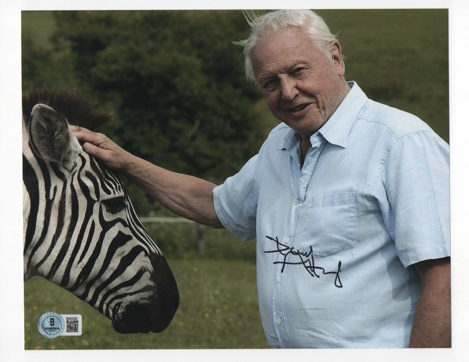 David Attenborough — David Attenborough signed autograph 8x10 Photo COA BAS Beckett Voice Earth Blue