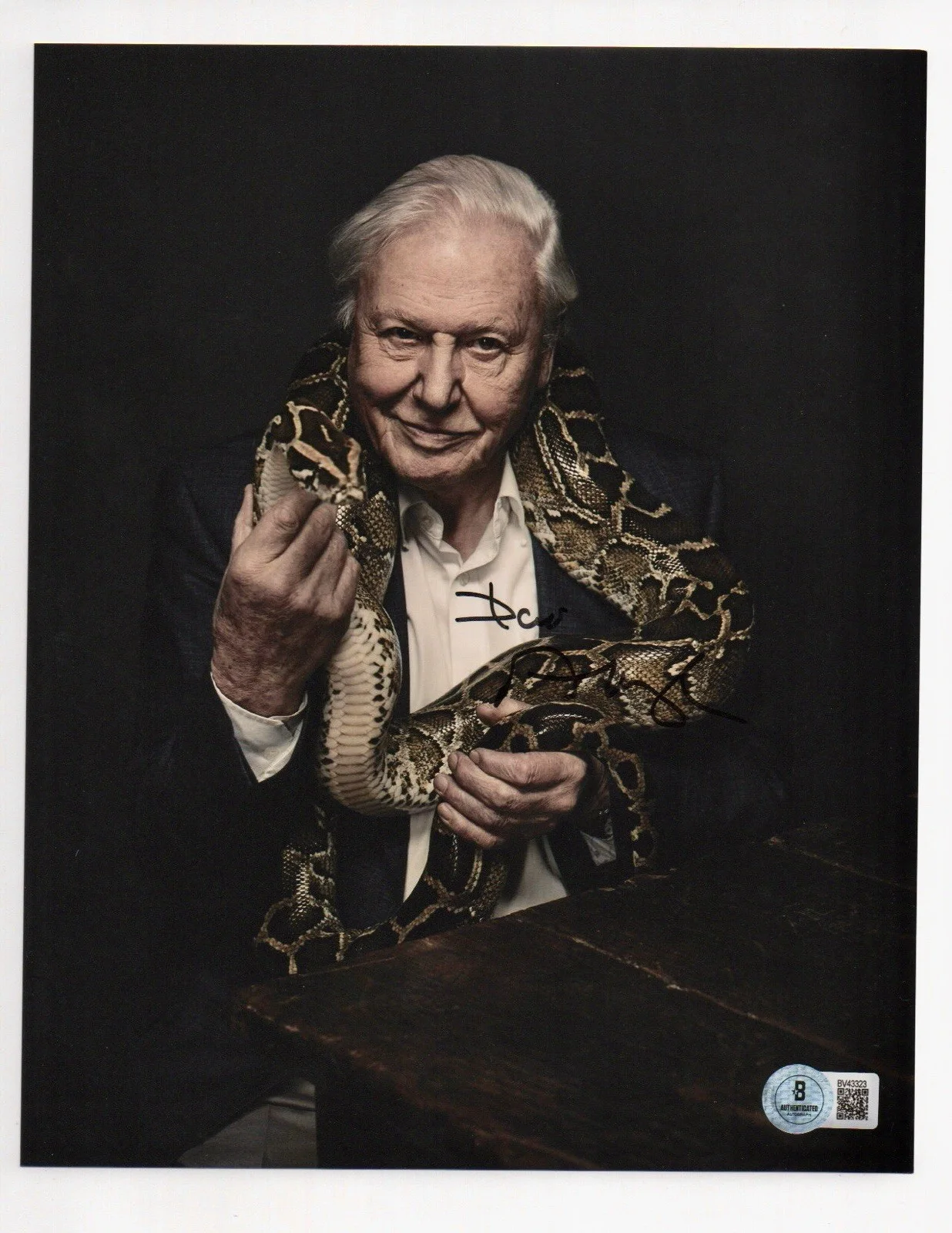 David Attenborough — David Attenborough signed autograph 8x10 Photo COA BAS Beckett Voice Earth Blue