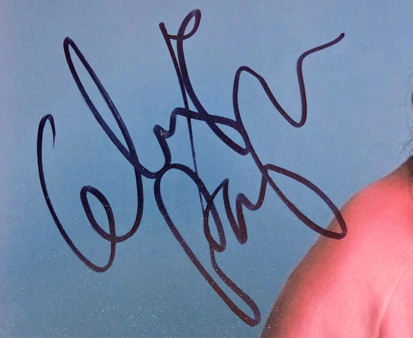 Celia Pacquola Hand Signed Autograph 8x10 Photo In Person Proof Stand Up Comedy, image 2