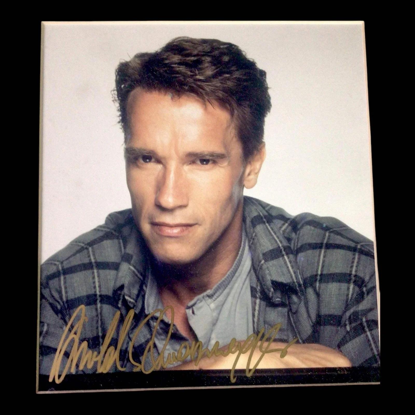 Arnold Schwarzenegger — Arnold Schwarzenegger Signed & Matted Photograph, image 2