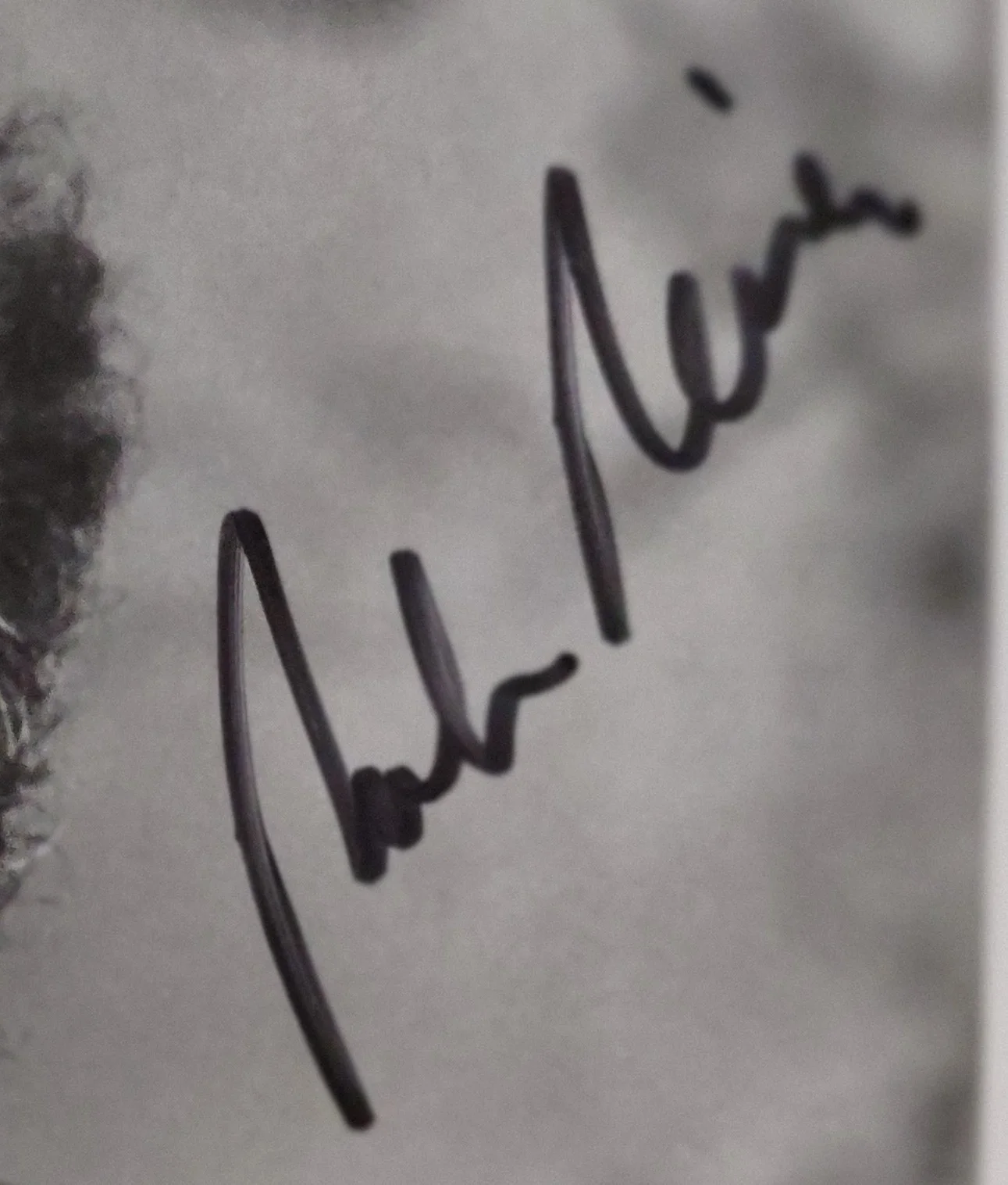 Rob Reiner - Signed Photograph No Inscription. ALL IN THE FAMILY. LIFETIME COA., изображение 2