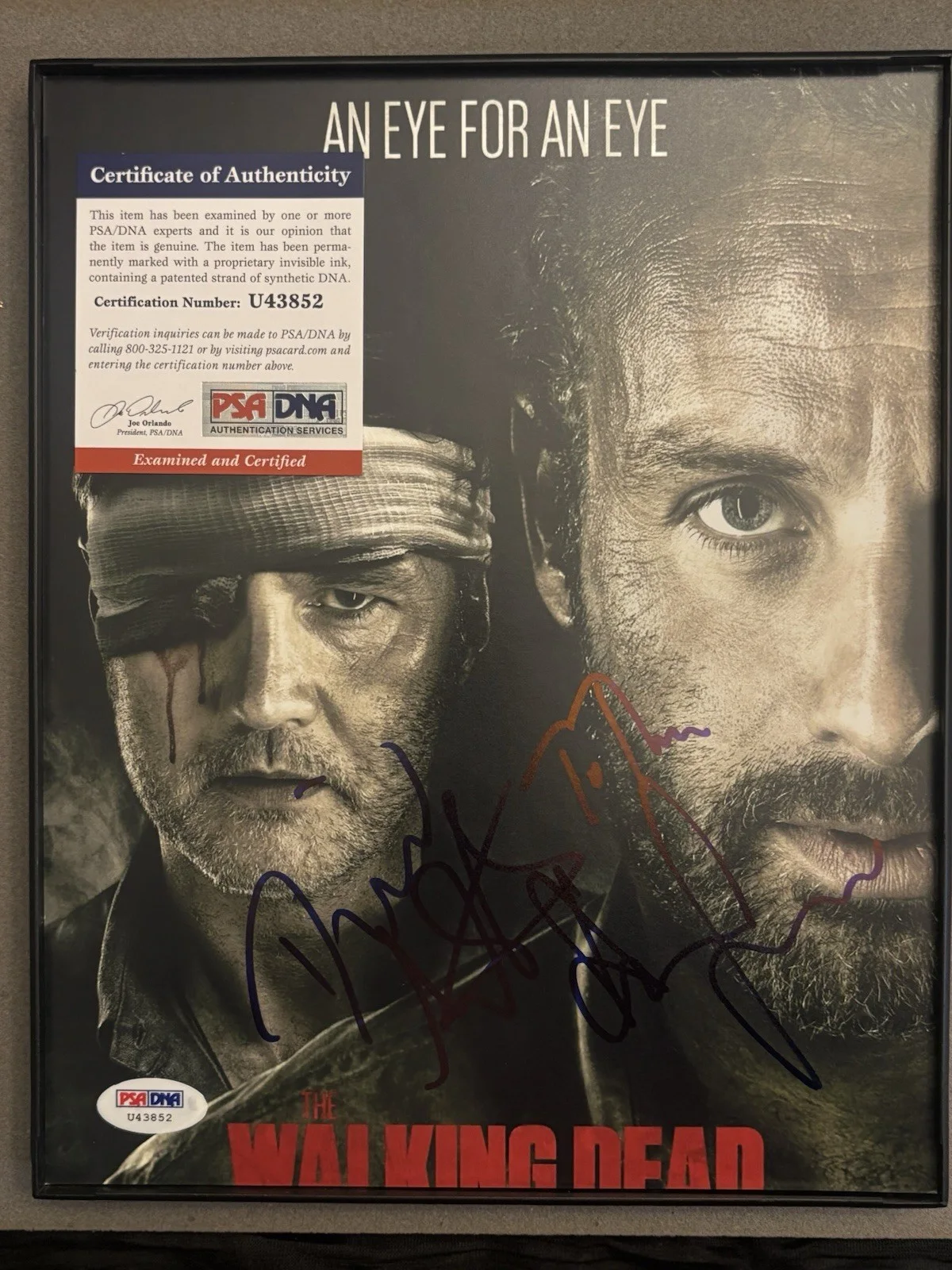 Andrew Lincoln — TWD Andrew Lincoln & David Morrissey Autographed Framed 8x10