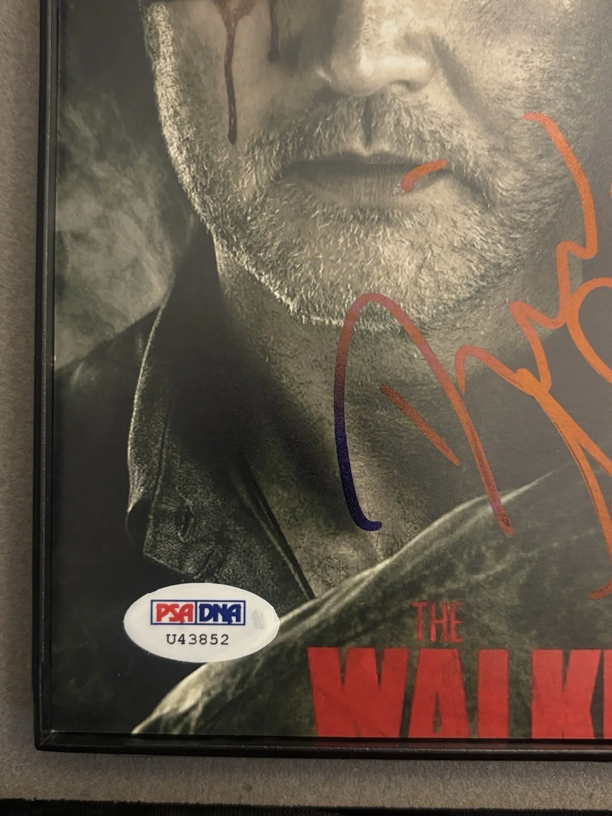 Andrew Lincoln — TWD Andrew Lincoln & David Morrissey Autographed Framed 8x10, изображение 2