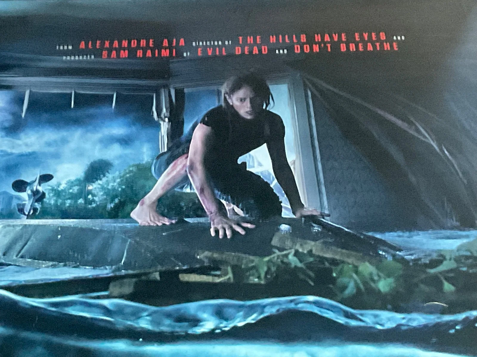 Crawl with Kaya SCODELARIO 2019 Movie Poster Cinema Film Memorabilia 8x5ft HUGE, изображение 3
