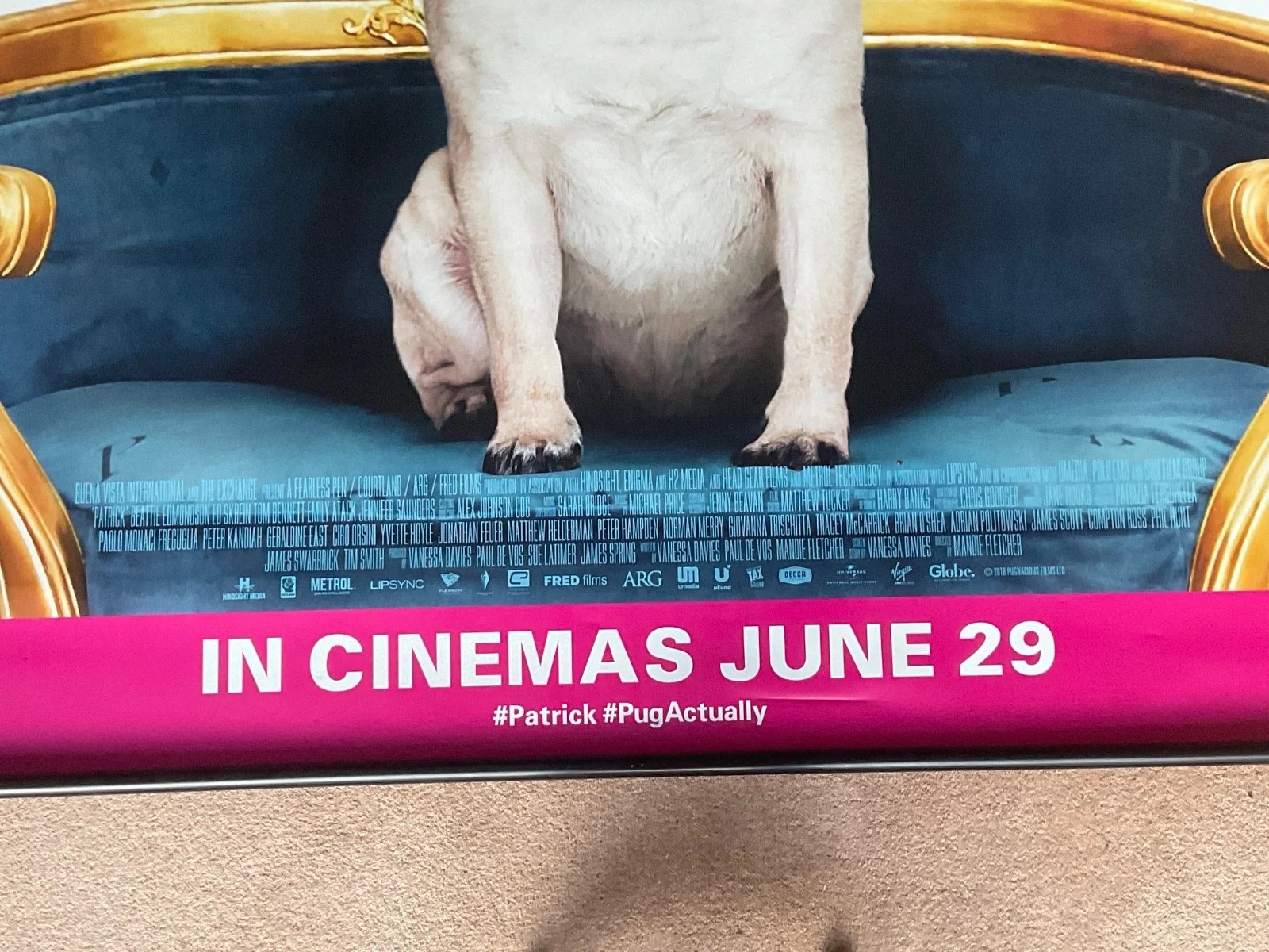 Patrick Pug Actually Movie Poster Cinema Film Comedy Memorabilia 8x5ft HUGE 2018, изображение 3