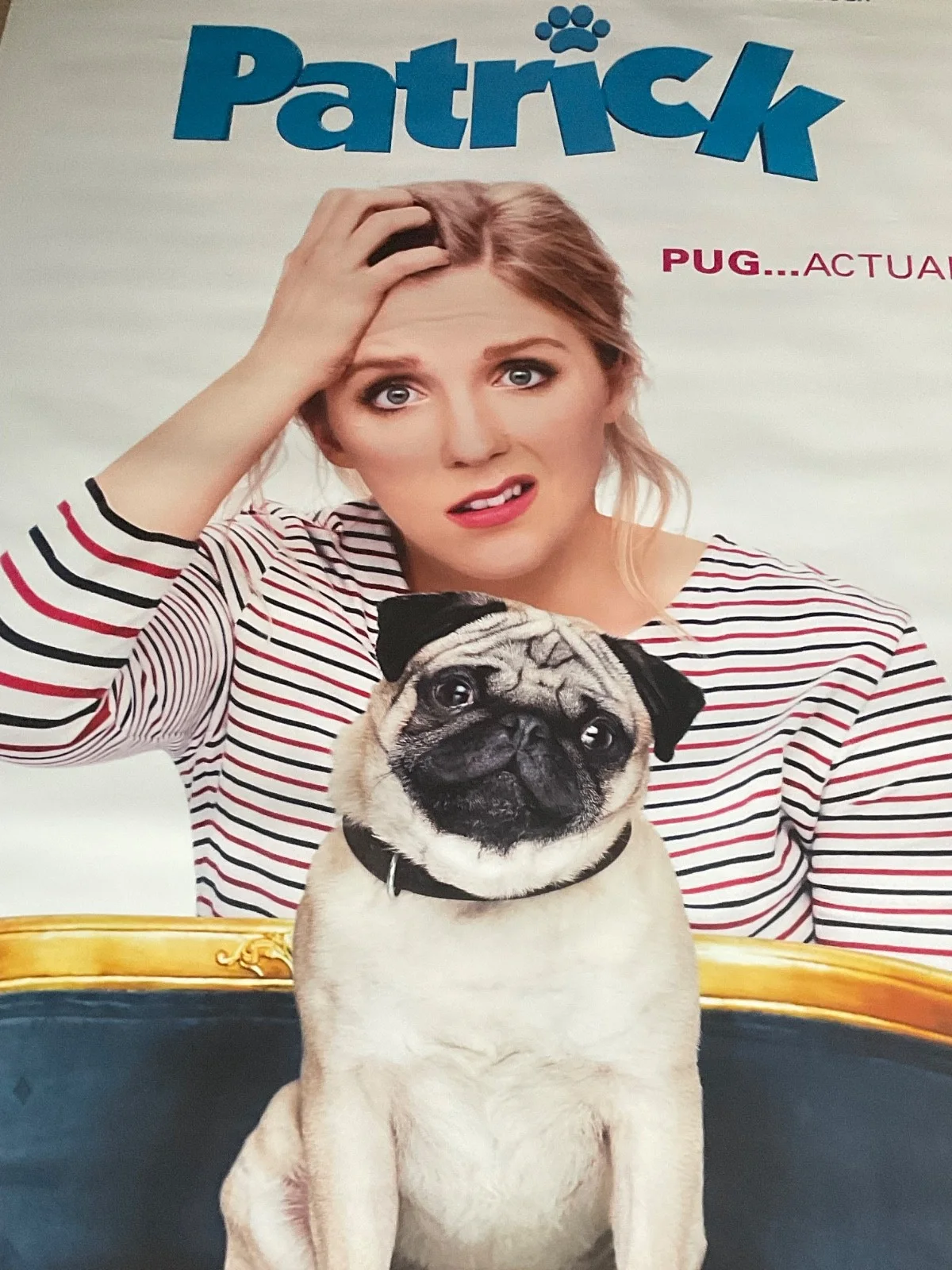 Patrick Pug Actually Movie Poster Cinema Film Comedy Memorabilia 8x5ft HUGE 2018, изображение 4