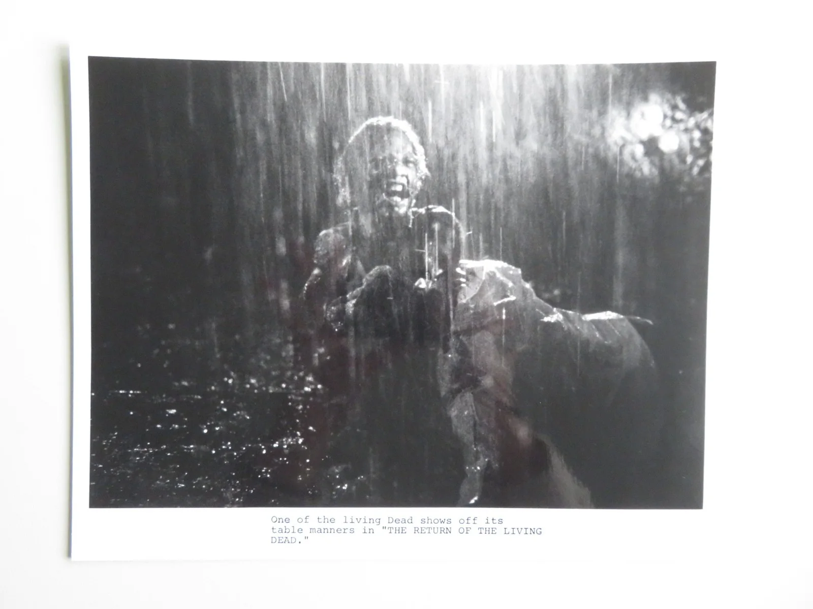 RETURN OF THE LIVING DEAD MOVIE STILL PHOTO LOT OF 5 LINNEA QUIGLEY 1985, изображение 5