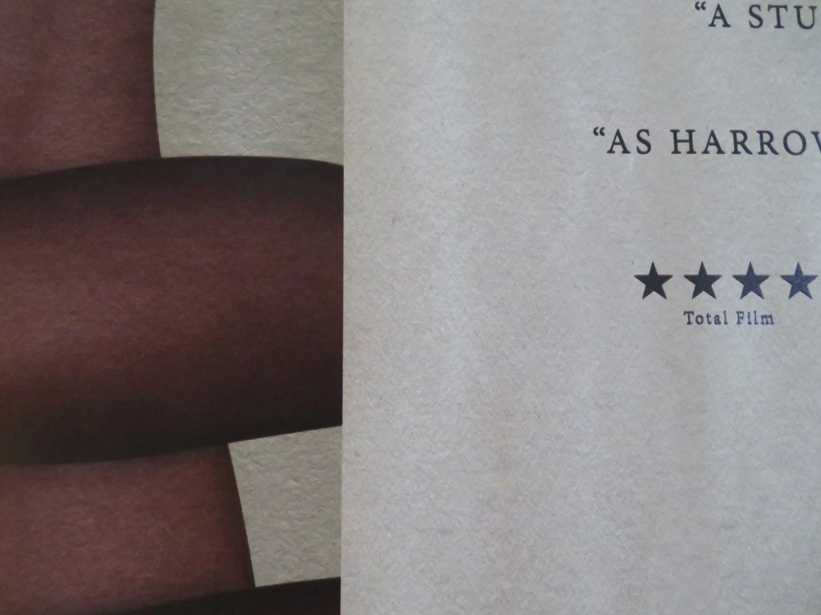DOGTOOTH - 4K RESTORATION UK QUAD ROLLED POSTER CHRISTOS STERGIOGLOU 2009, image 2
