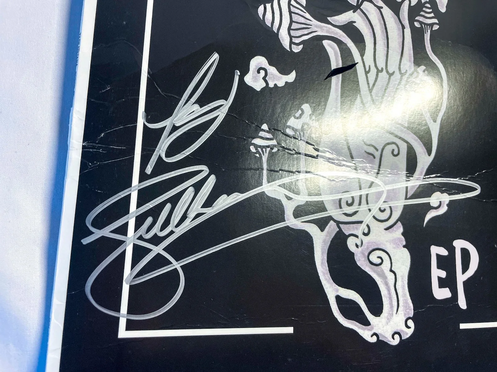 Tash Sultana Signed Autographed NOTION Vinyl Album EP JSA COA *Read Condition*, изображение 4