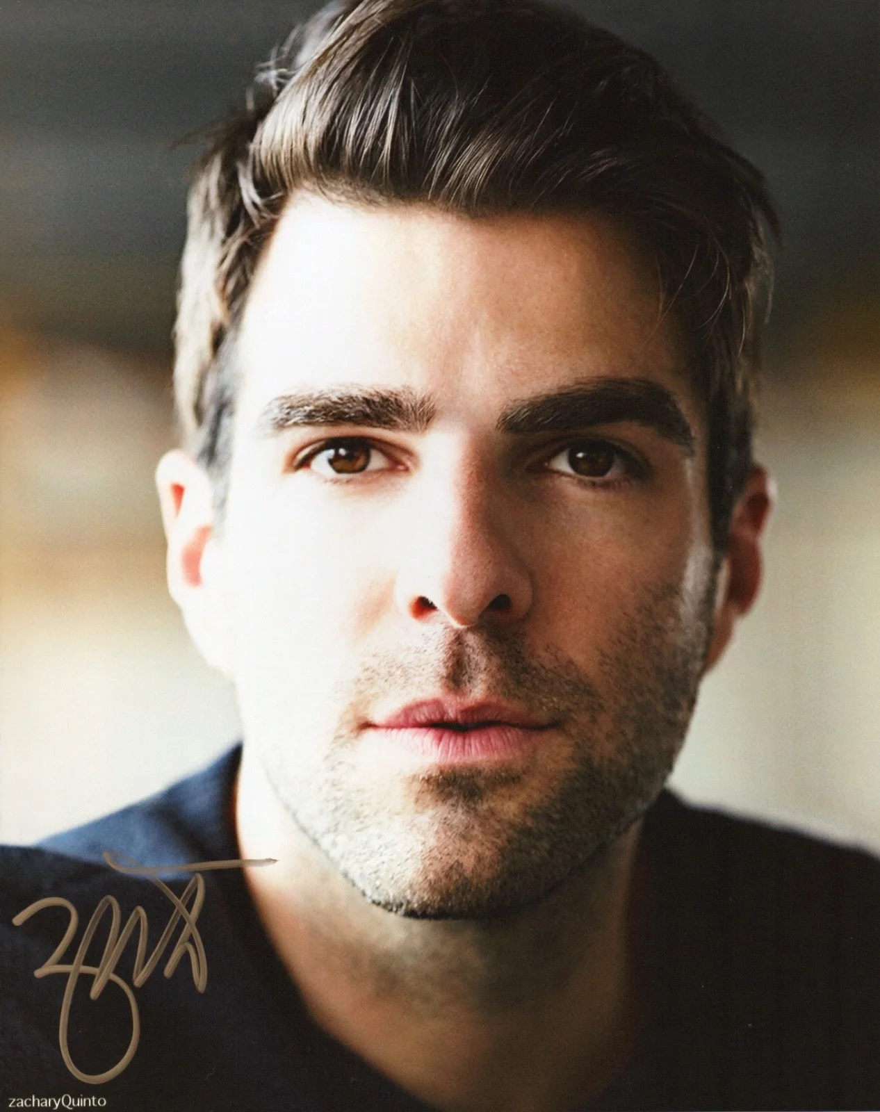 Zachary Quinto — Zachary Quinto Autographed Photo 8x10 COA Star Trek Heroes Brilliant Minds