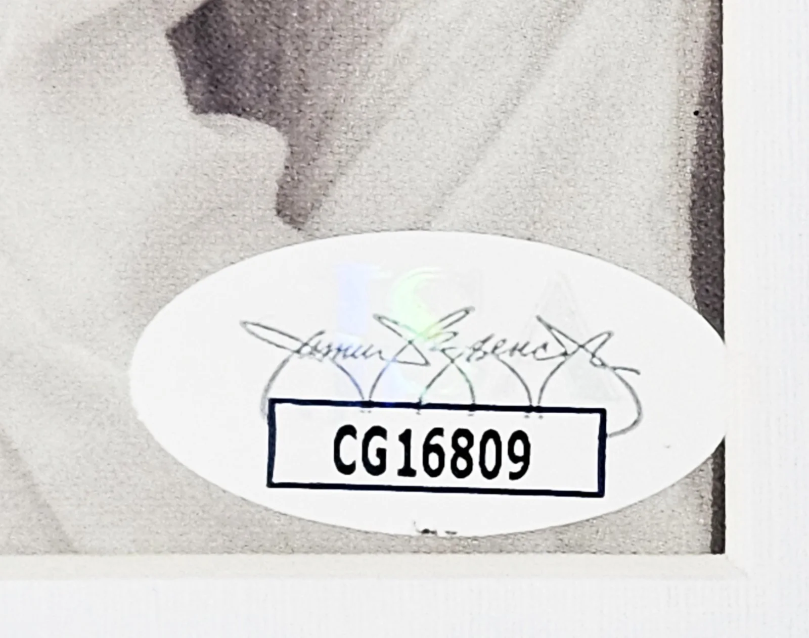 Taylor Swift Signed The Tortured Poets Department CD Framed JSA COA, изображение 3