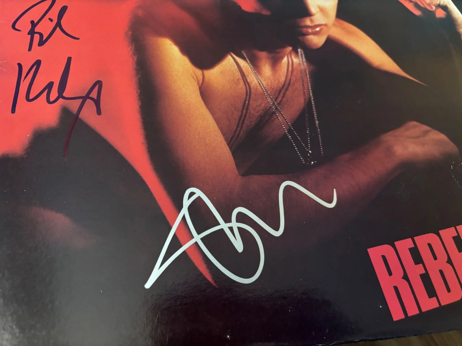 BILLY IDOL SIGNED AUTOGRAPHED LP VINYL REBEL YELL STEVE STEVENS RARE IN PERSON, image 3
