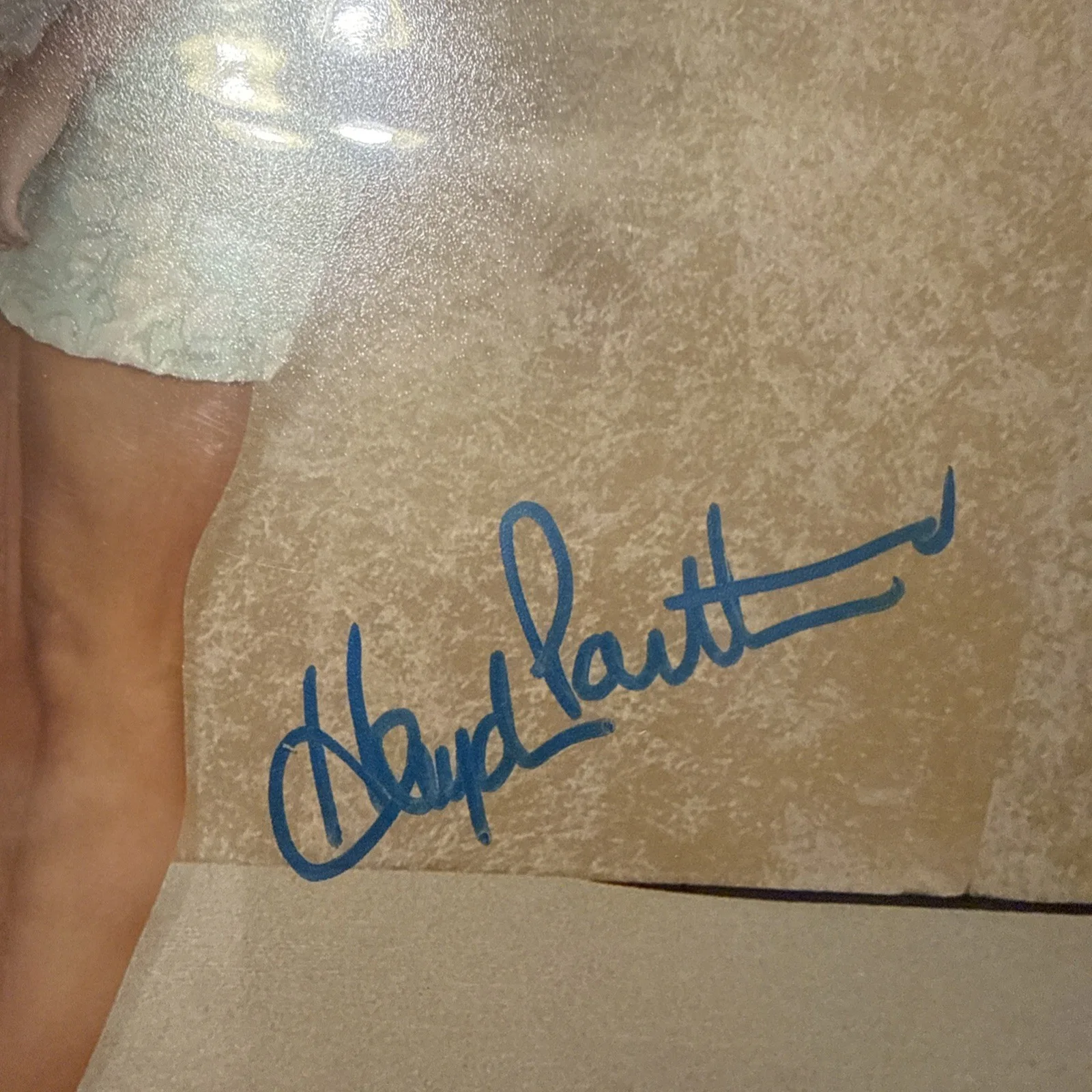 BEAUTIFUL CANDID! Hayden Panettiere Signed Autographed 8x10 Photo ACOA COA!, image 2
