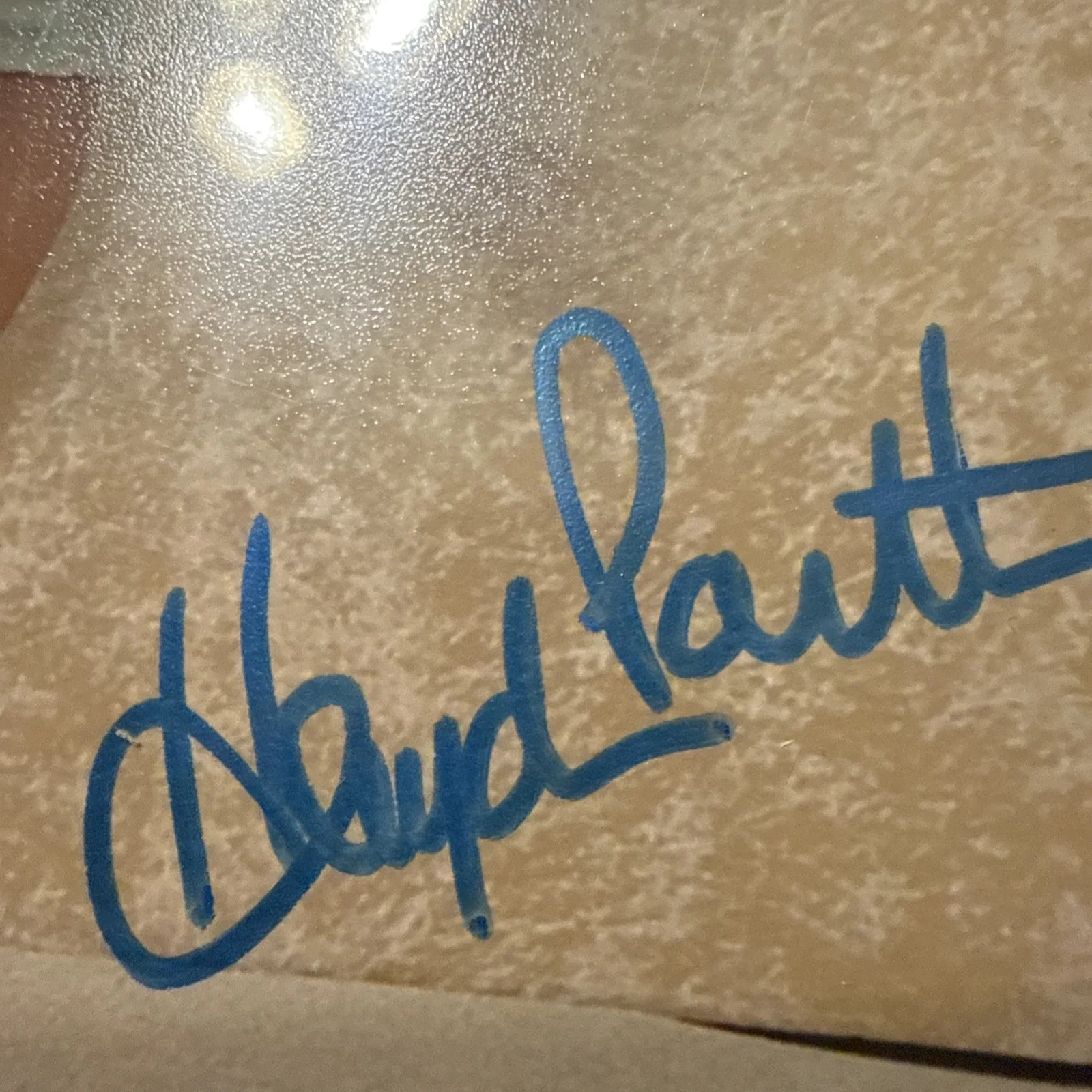 BEAUTIFUL CANDID! Hayden Panettiere Signed Autographed 8x10 Photo ACOA COA!, image 3