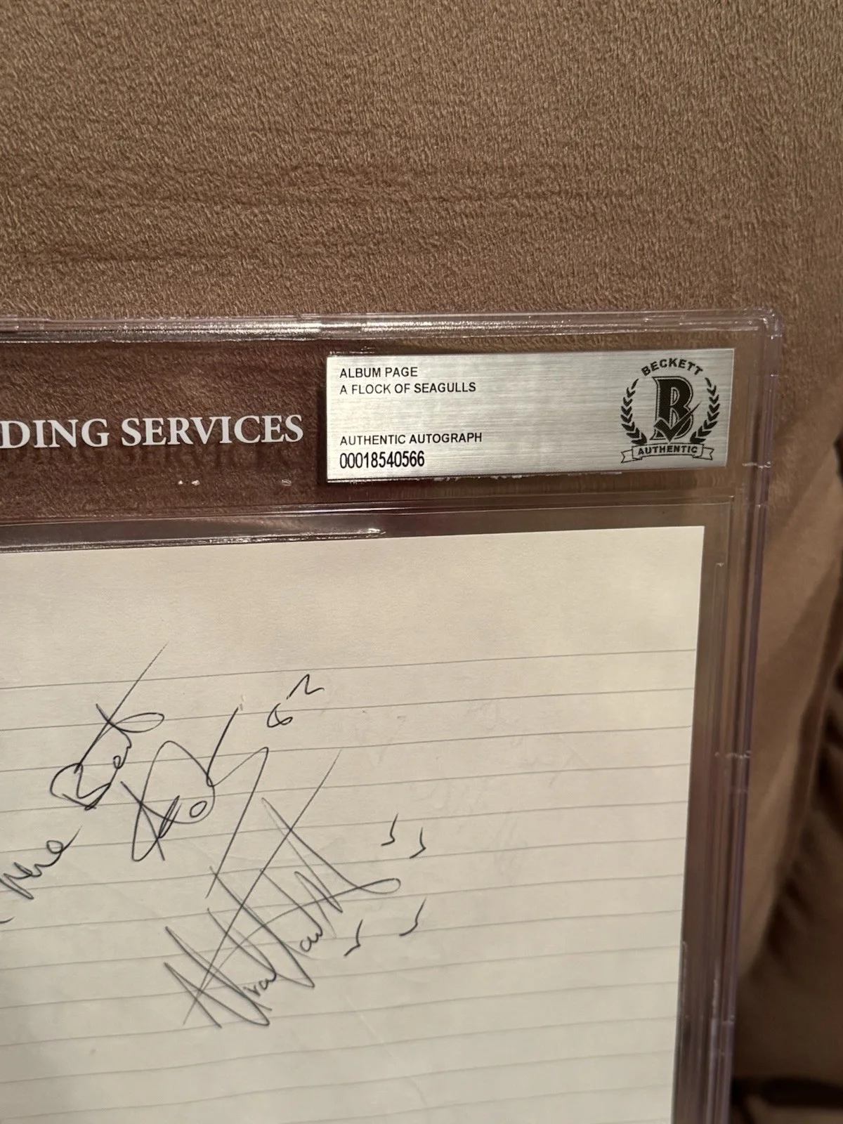 A Flock Seagulls Signed Autographed Album Page Beckett Slab 1982 Frank Paul Ali+, изображение 2
