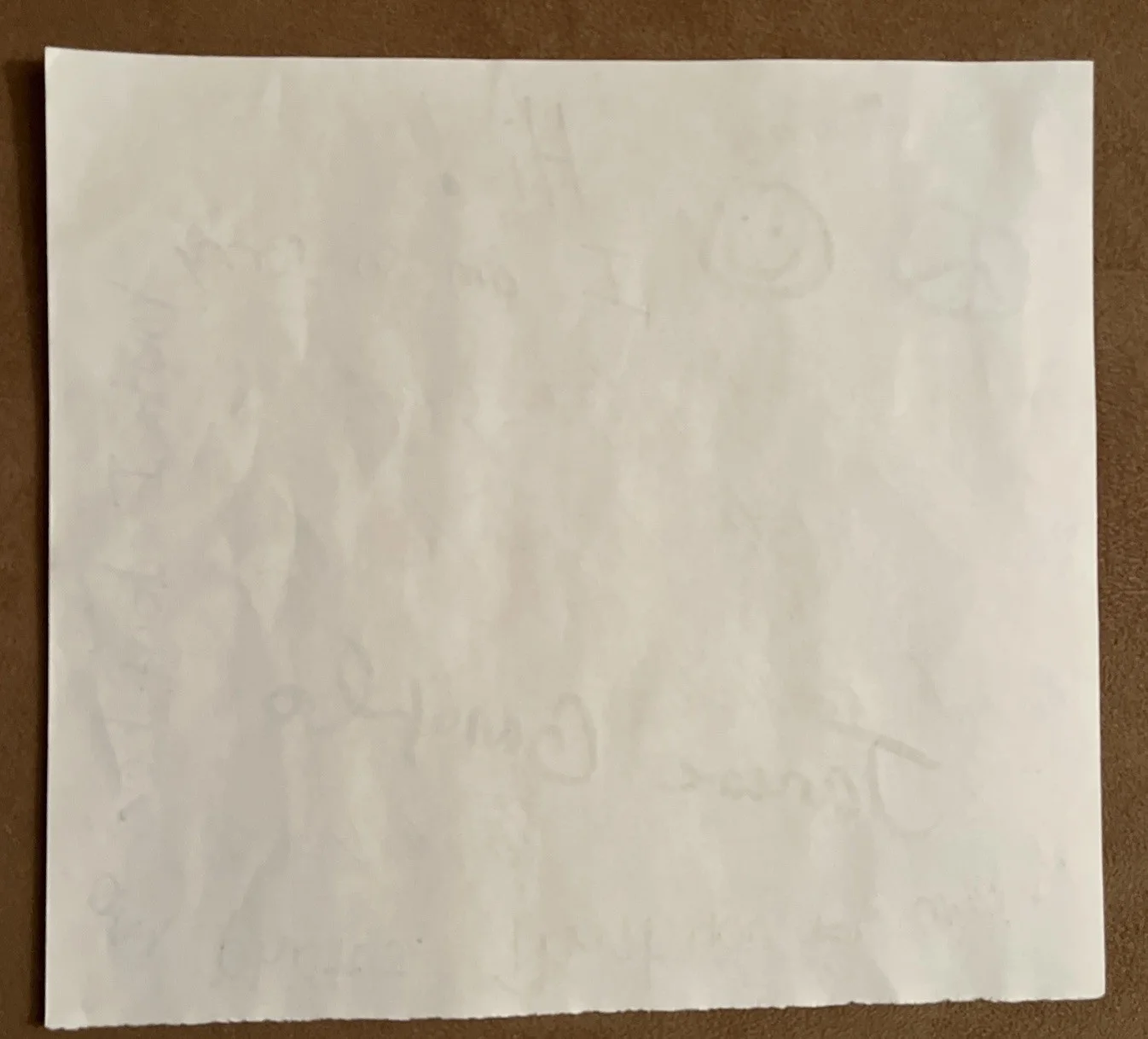Janean Garofalo — Janeane Garofalo Signature - Signed And Returned Autograph Request Letter, image 3