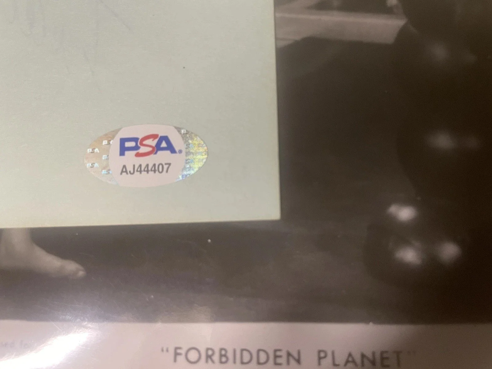 Anne Francis — Anne Francis “Forbidden Planet”Signed Cut W/ Vintage B&W 8x10 Photo PSA Cert, изображение 2