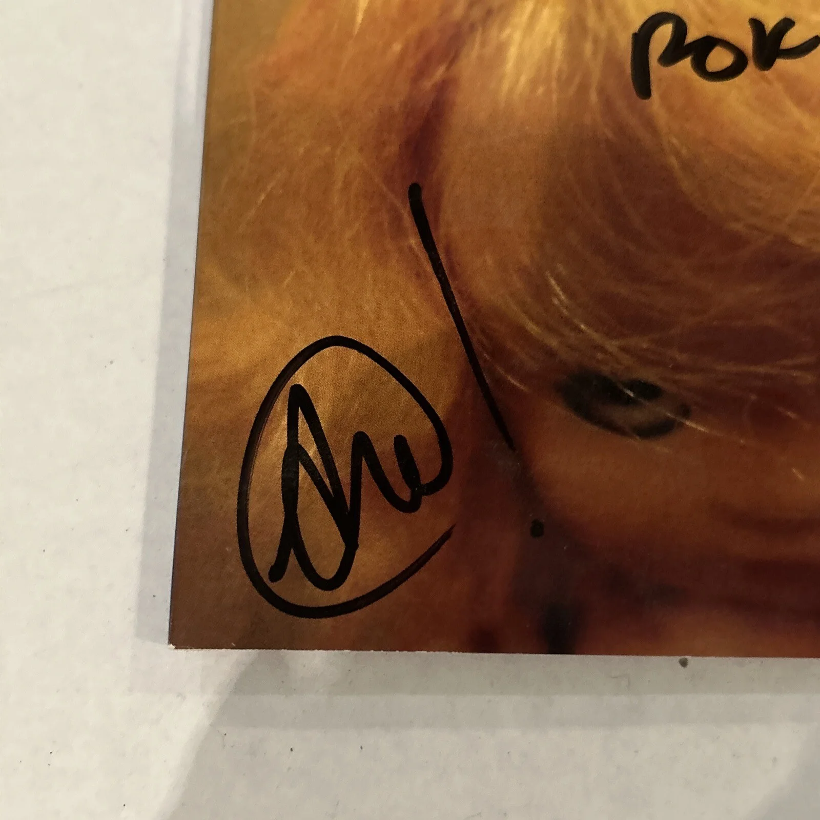 The Presidents of the United States Band Kudos To You CD. Autographed, изображение 2