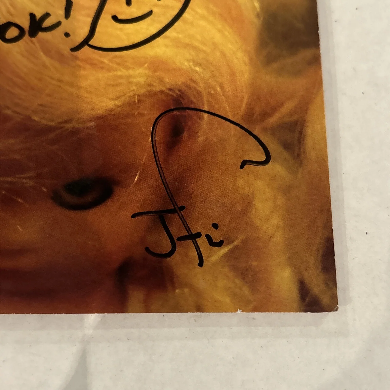 The Presidents of the United States Band Kudos To You CD. Autographed, изображение 4