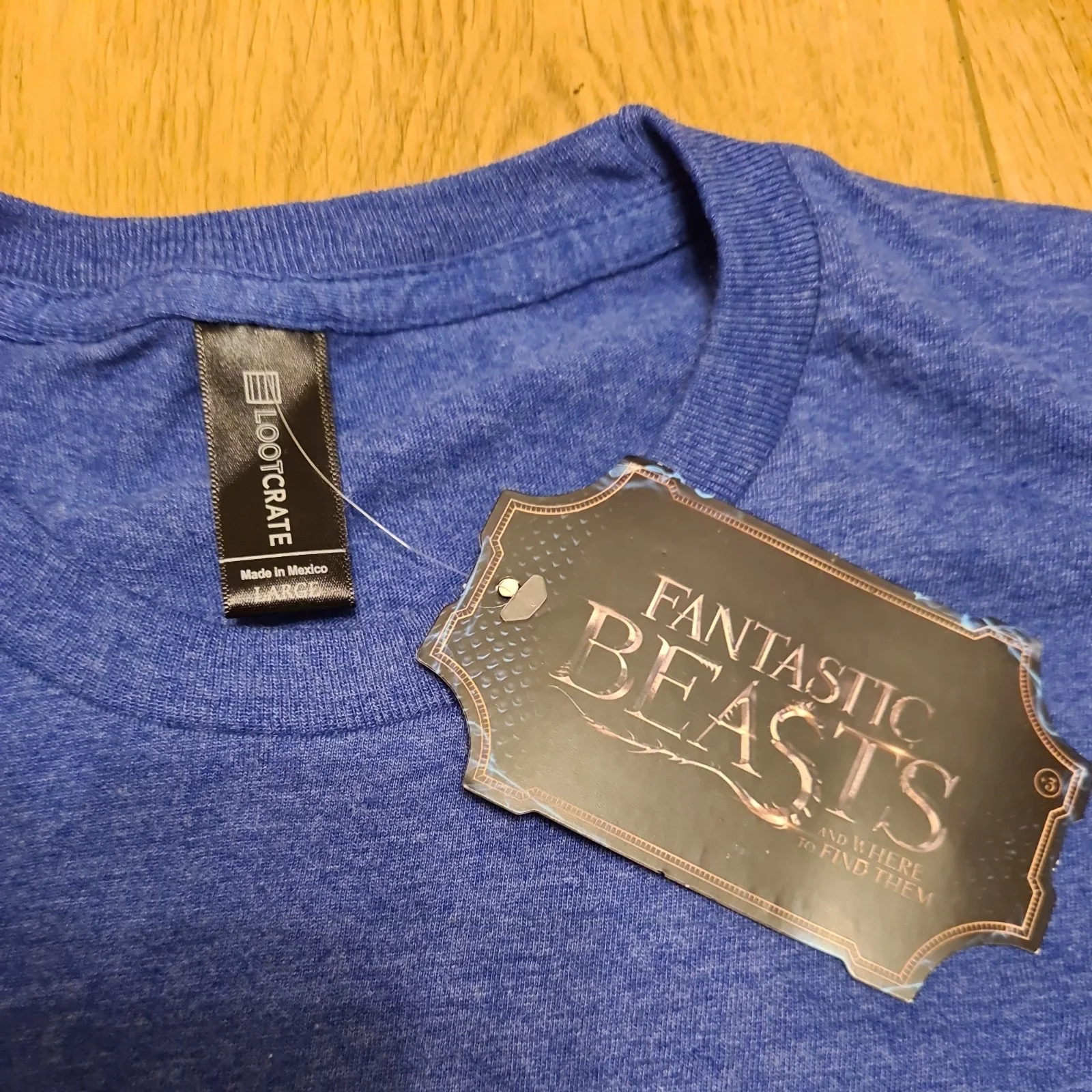 Fantastic Beasts T Shirt, Become an Obliviator! Large, New 2017 Lootcrate, BNWT, изображение 3