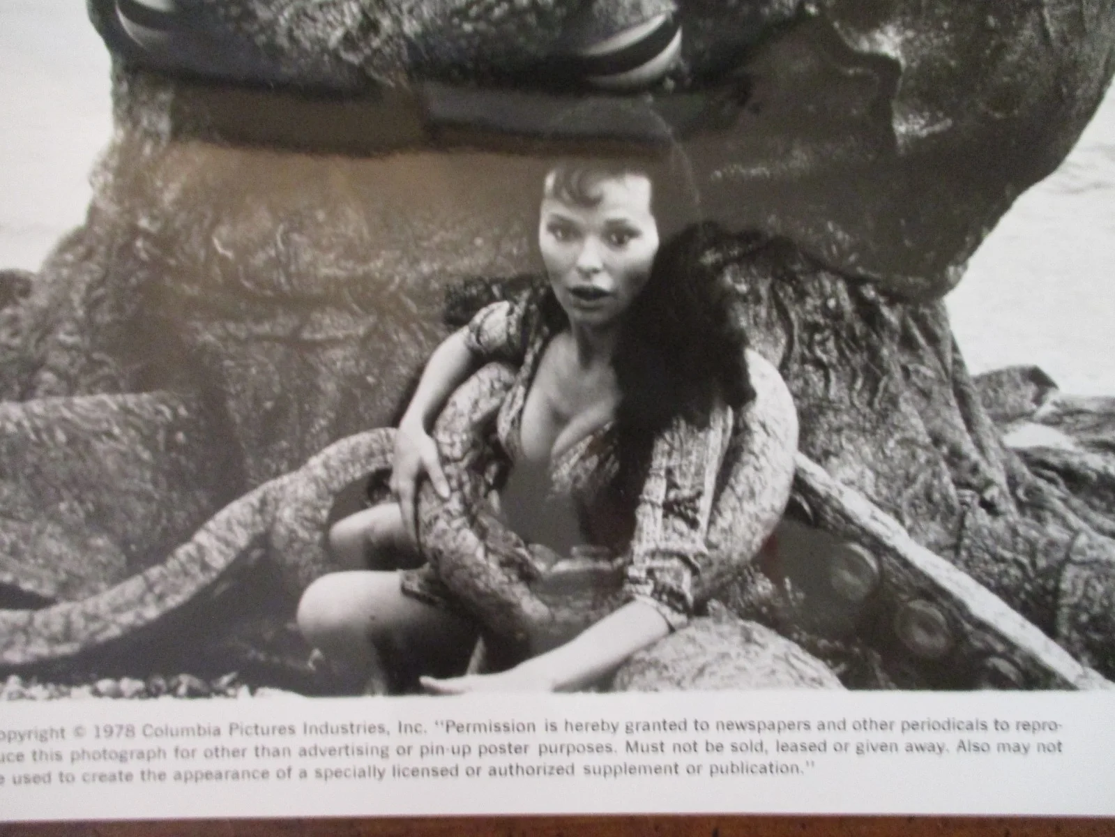 Lea Brodie("WARLORDS OF ATLANTIS")1978 10 x 8 Glossy Black and White Press Photo, изображение 2
