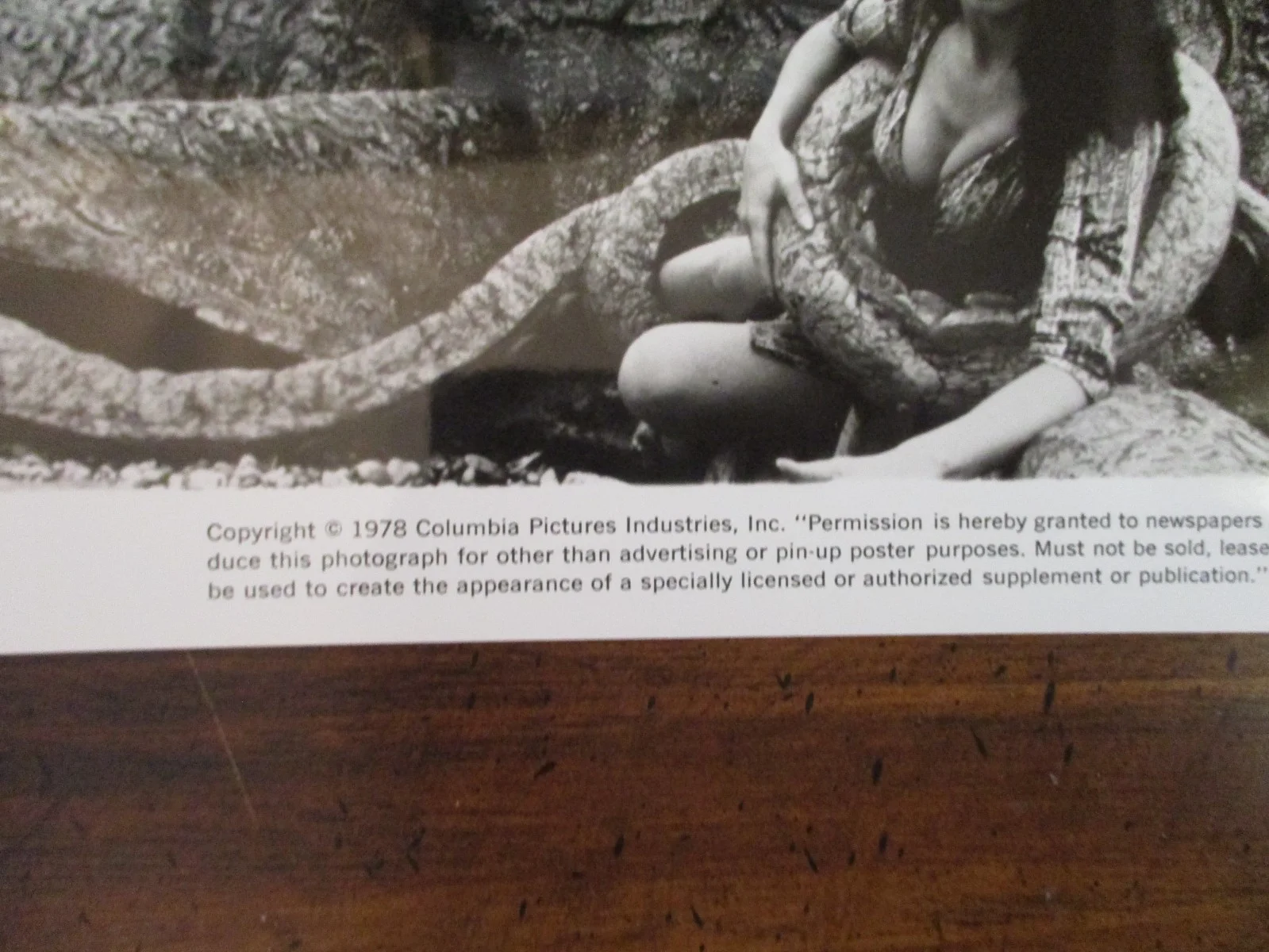 Lea Brodie("WARLORDS OF ATLANTIS")1978 10 x 8 Glossy Black and White Press Photo, изображение 3