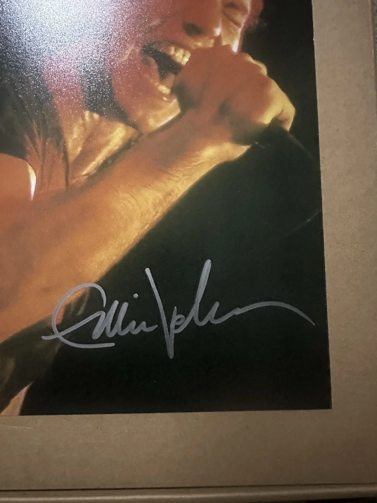 Eddie Vedder Pearl Jam Autographed 8x10" Photo with Certificate of Authenticity, image 2