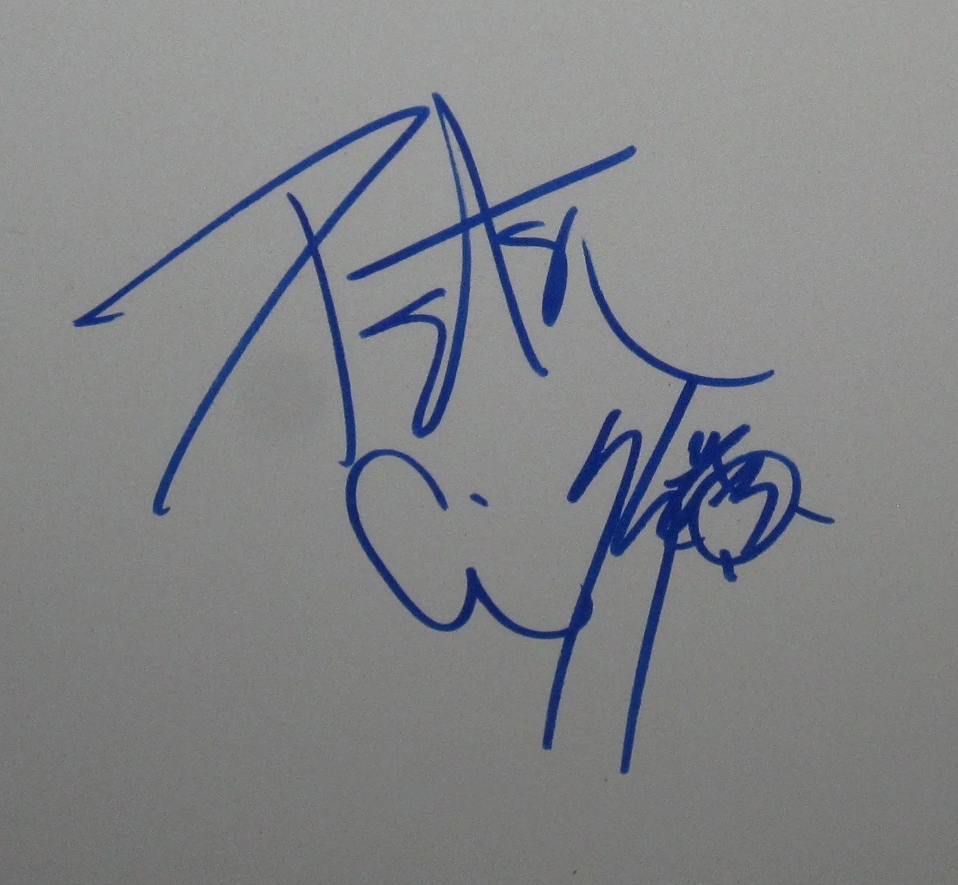 PETER CRISS SIGNED DRUMHEAD KISS SOLO ROCK AUTOGRAPH ORIGINAL CATMAN JSA COA, изображение 2