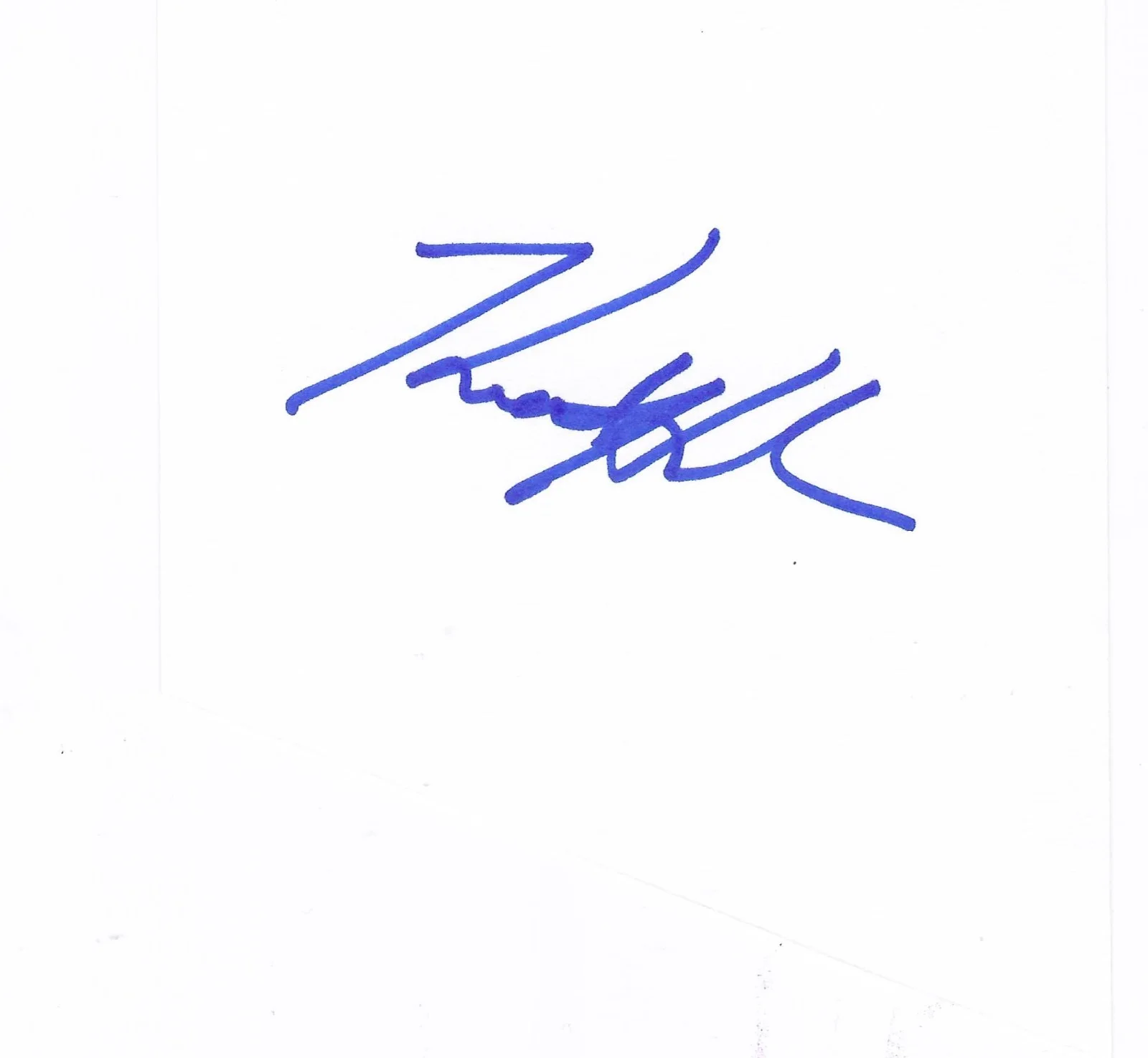 Katie Holmes signature page with COA + 8x10 ... BATMAN BEGINS, Dawson’s Creek, изображение 2