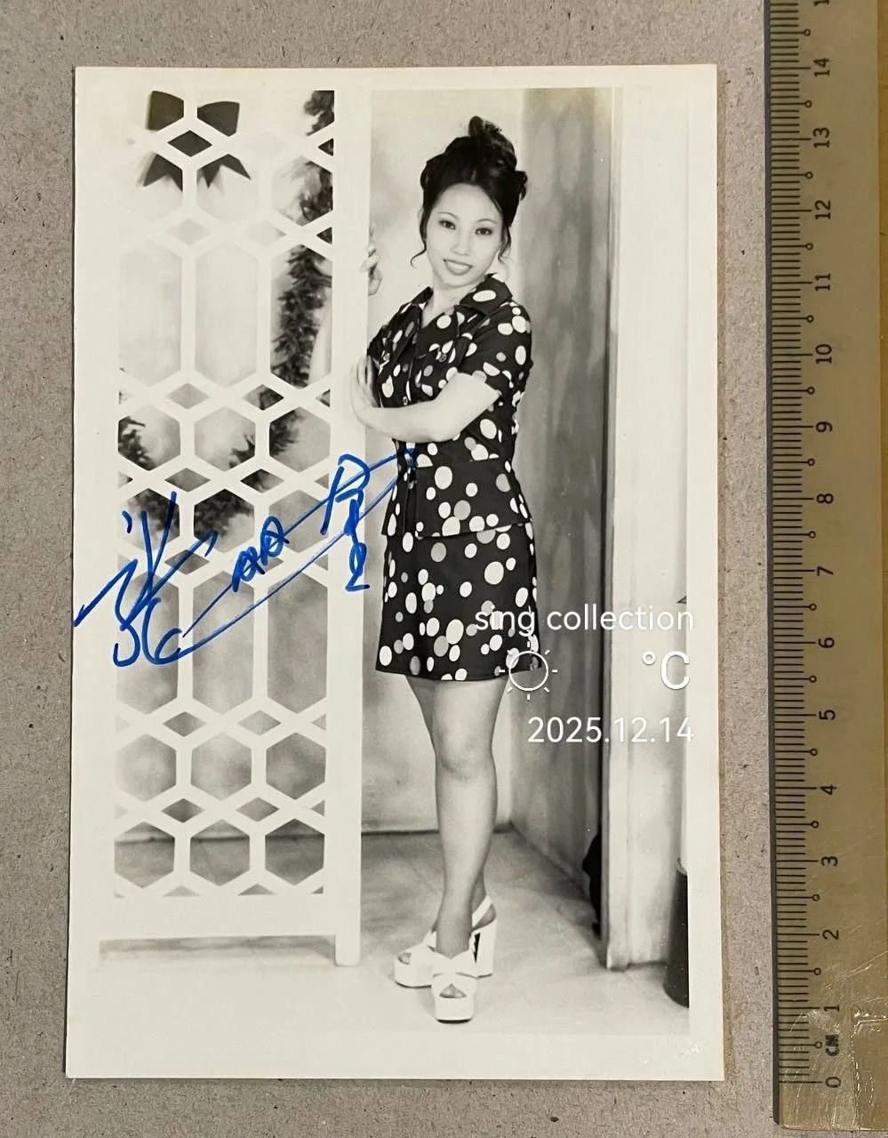 張麗金 — 60s 張麗金 簽名照 Hong Kong Teochew opera actress Chang Lijin signed photo autograph !