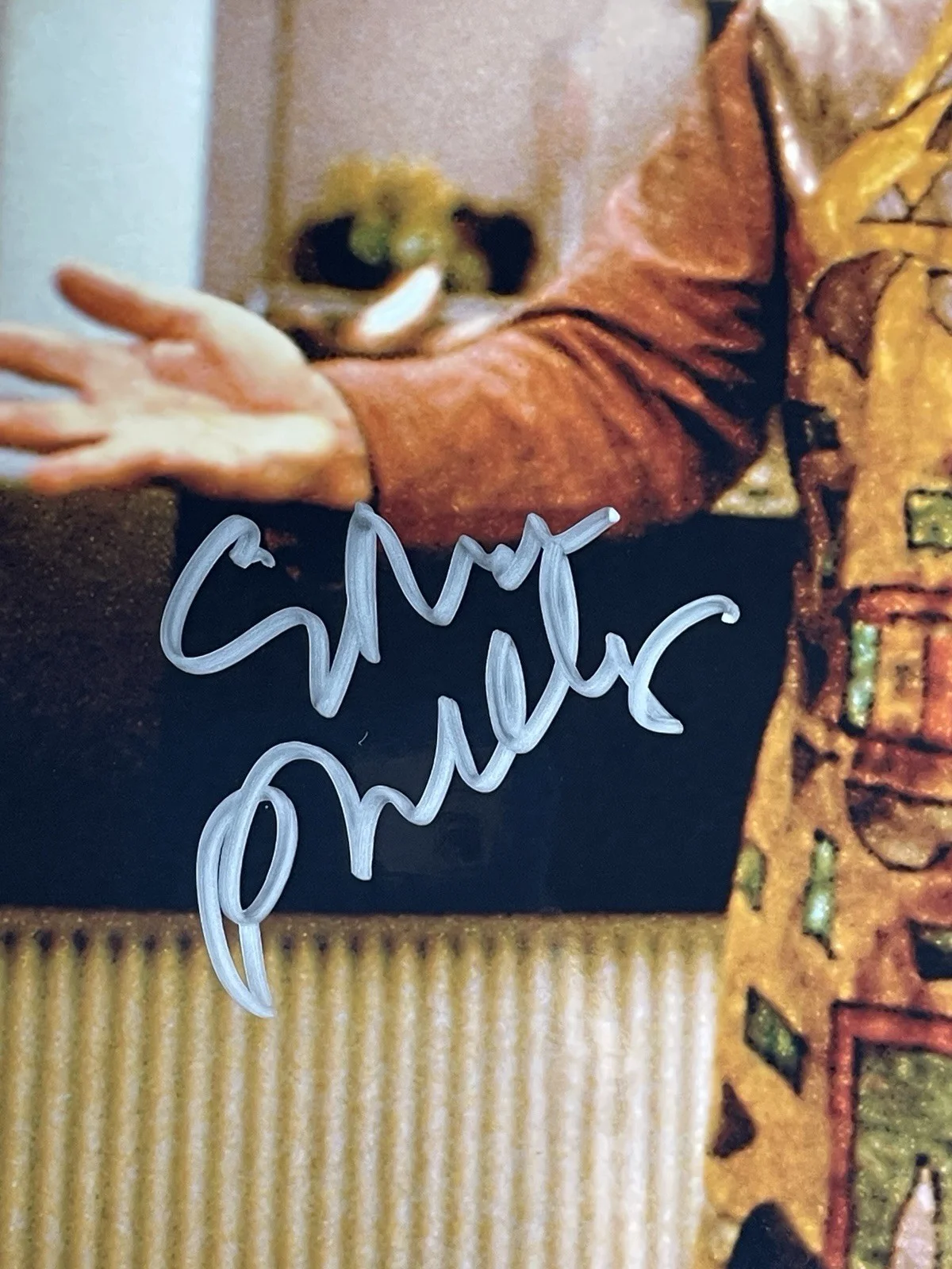 Ethan Phillips — Ethan Phillips Autographed Photo 8x10 COA Star Trek Voyager Neelix, image 3