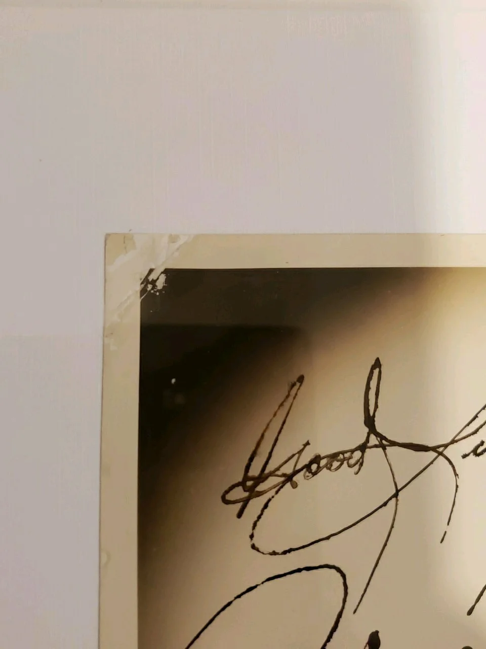JOHN WAYNE - Authentic Signature Autographed Photo, image 4