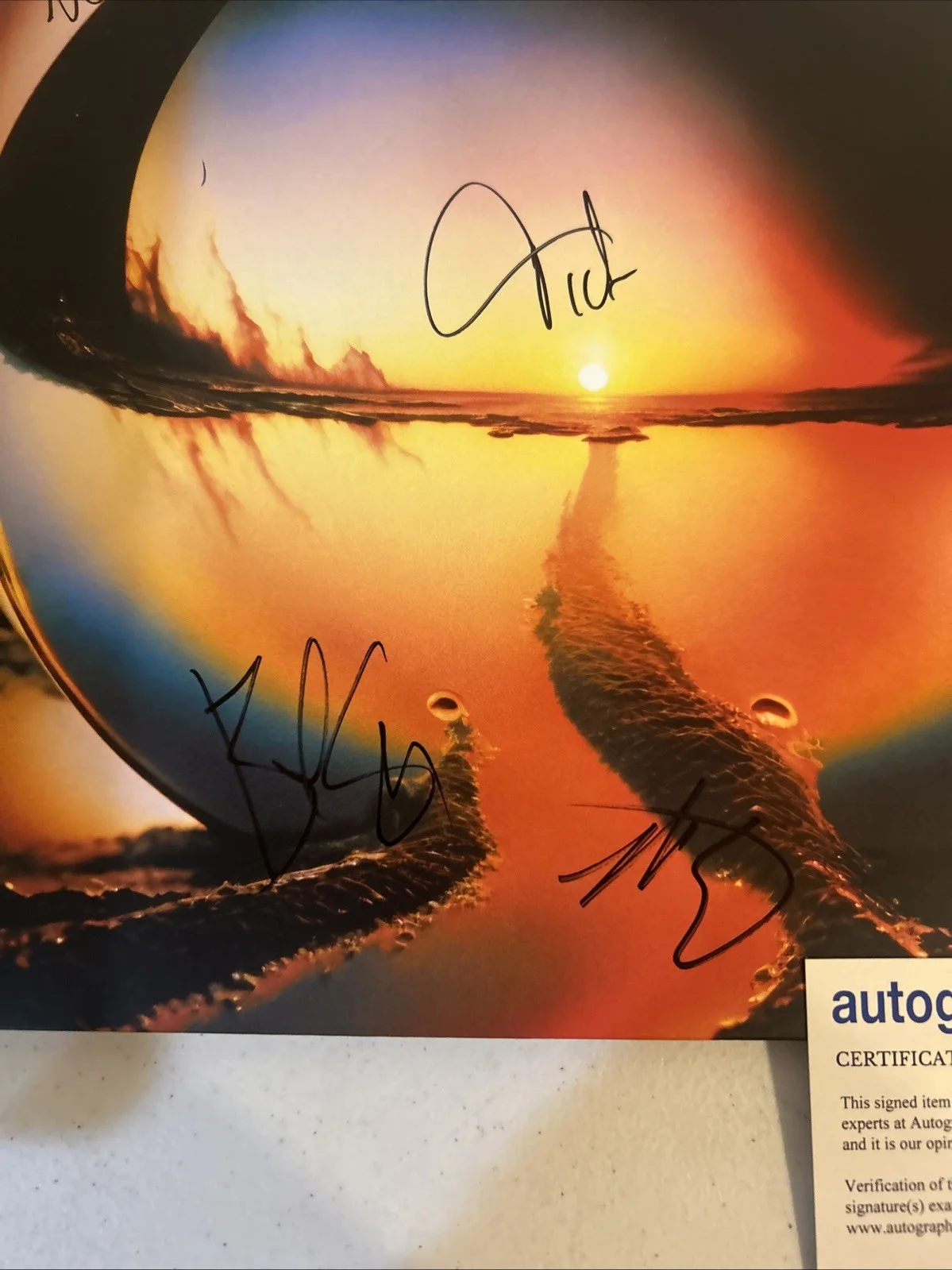CAGE THE ELEPHANT SIGNED AUTOGRAPH VINYL ALBUM ACOA NEON PILL RECORD LP, изображение 3