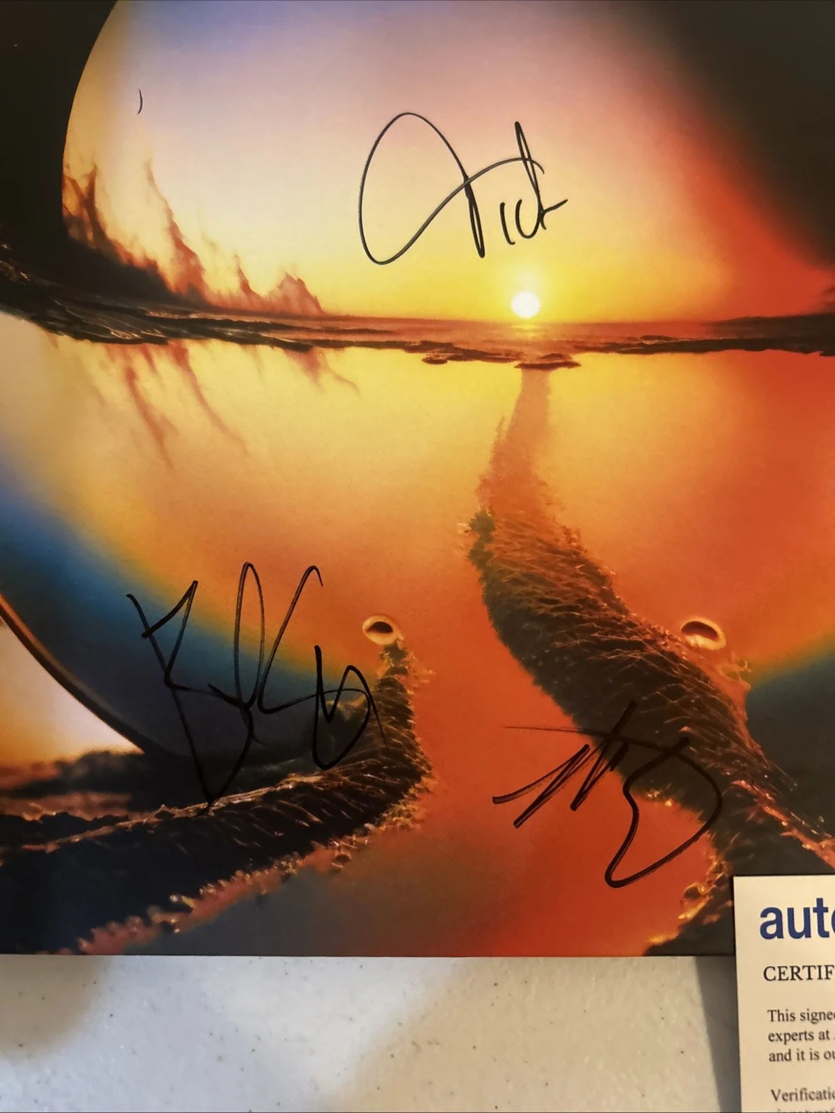 CAGE THE ELEPHANT SIGNED AUTOGRAPH VINYL ALBUM ACOA NEON PILL RECORD LP, изображение 4