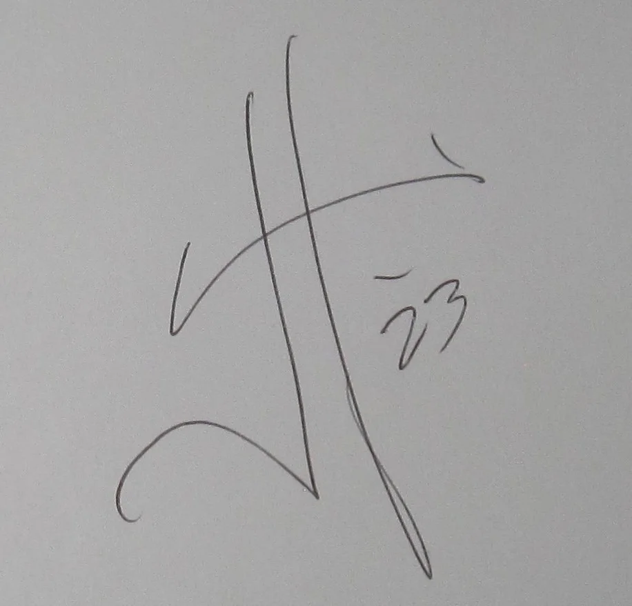 JAMES HETFIELD SIGNED MESSENGERS BOOK THE GUITARS SLIPCASE METALLICA AUTOGRAPH, изображение 3