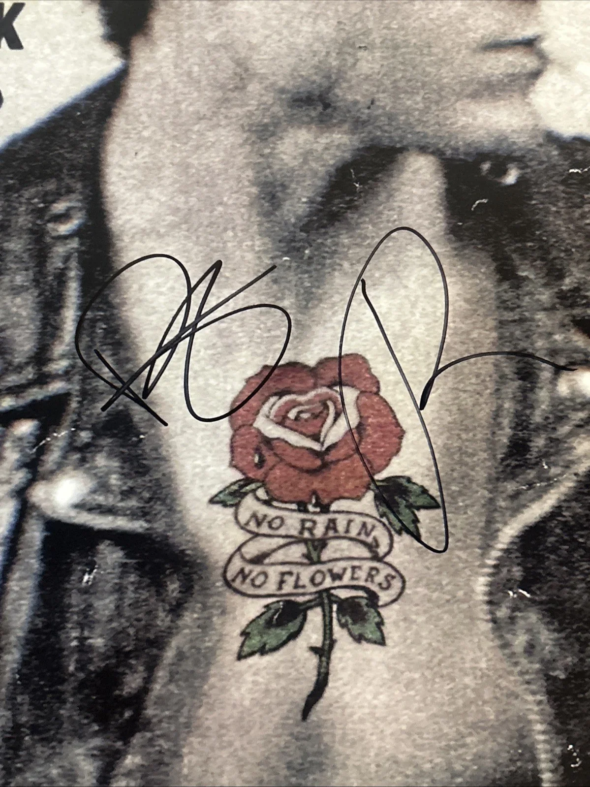 THE BLACK KEYS SIGNED AUTOGRAPH VINYL ACOA NO RAIN NO FLOWERS RECORD LP, изображение 3