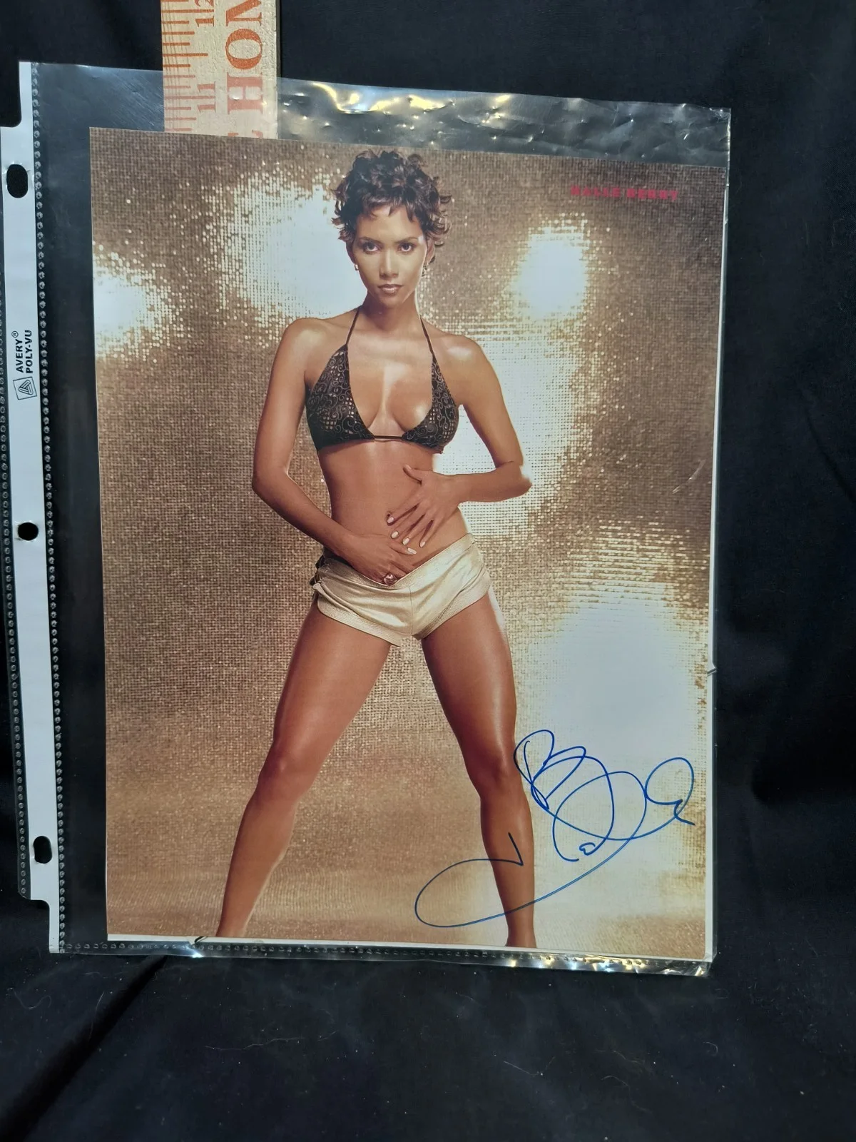 Halle Berry — Halle Berry Actress Autographed 8x10 W COA Monsters Ball, Catwoman, Swordfish,m