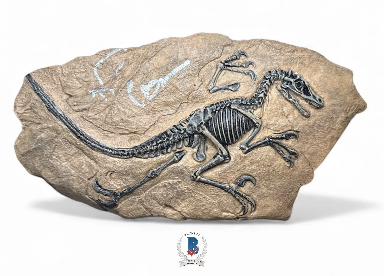 Jeff Goldblum — Jeff Goldblum Autograph Signed Resin Dinosaur Fossil Model with Beckett COA