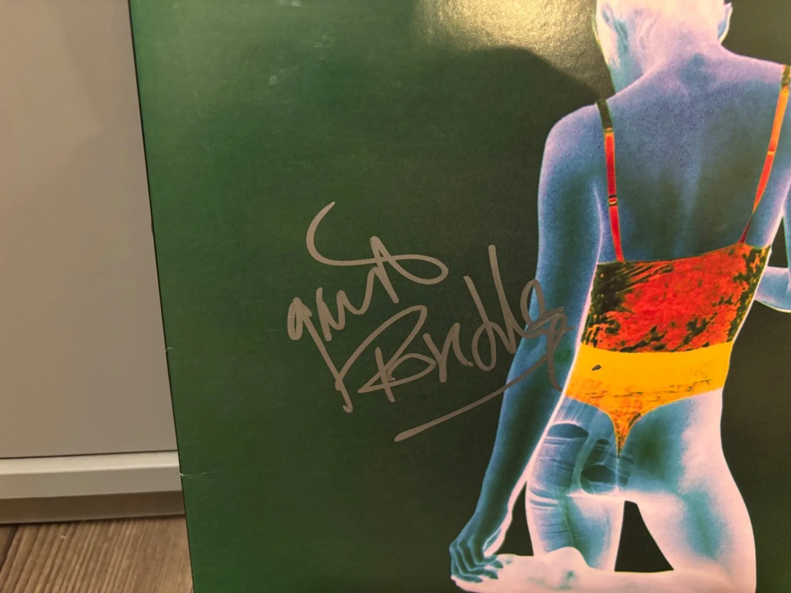 GAVIN ROSSDALE SIGNED AUTOGRAPHED BUSH GREEN LP VINYL THE KINGDOM RARE IN PERSON, изображение 2