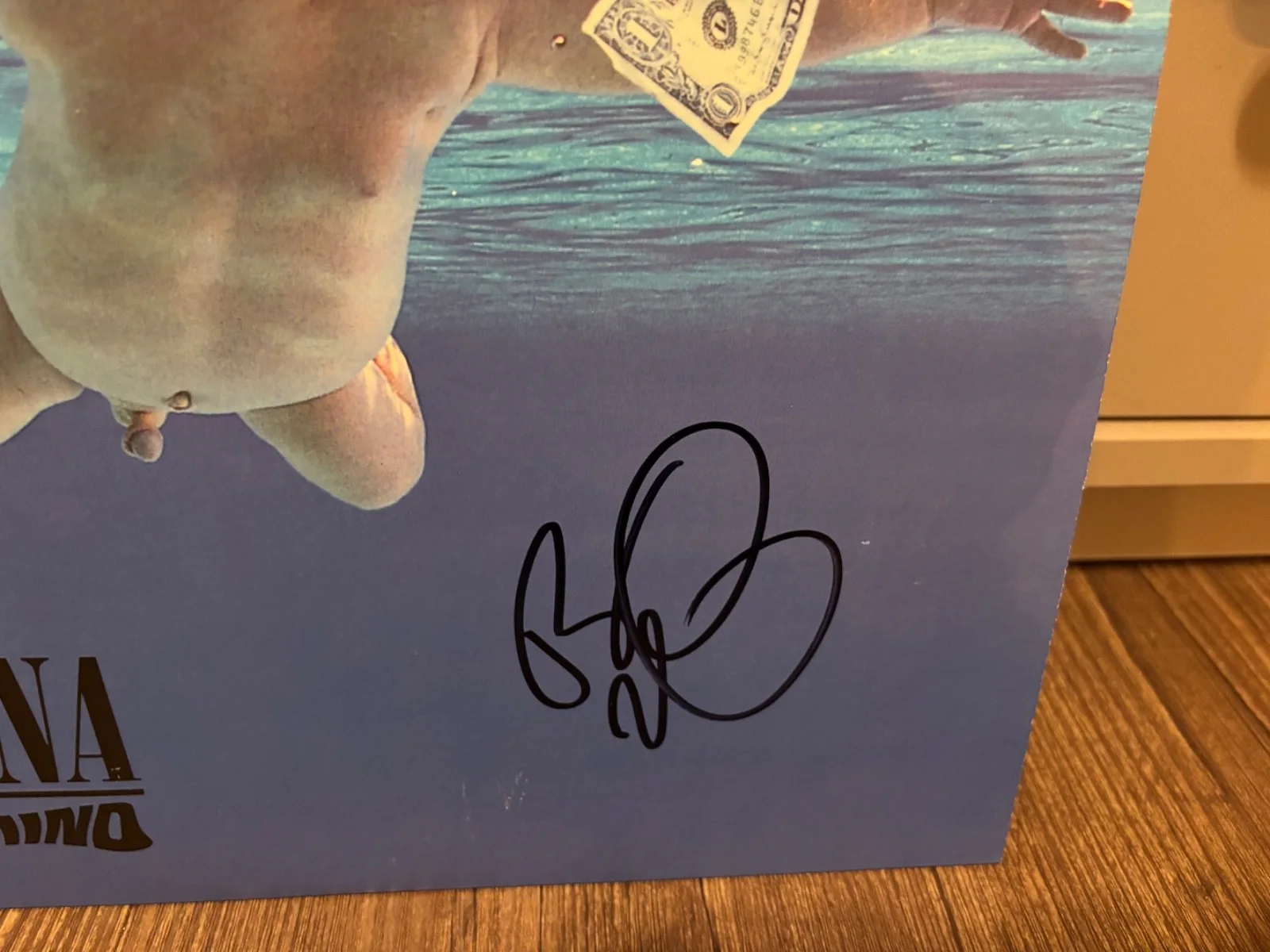 NIRVANA SIGNED AUTOGRAPHED LP VINYL NEVERMIND BUTCH VIG RARE IN PERSON GARBAGE, image 2