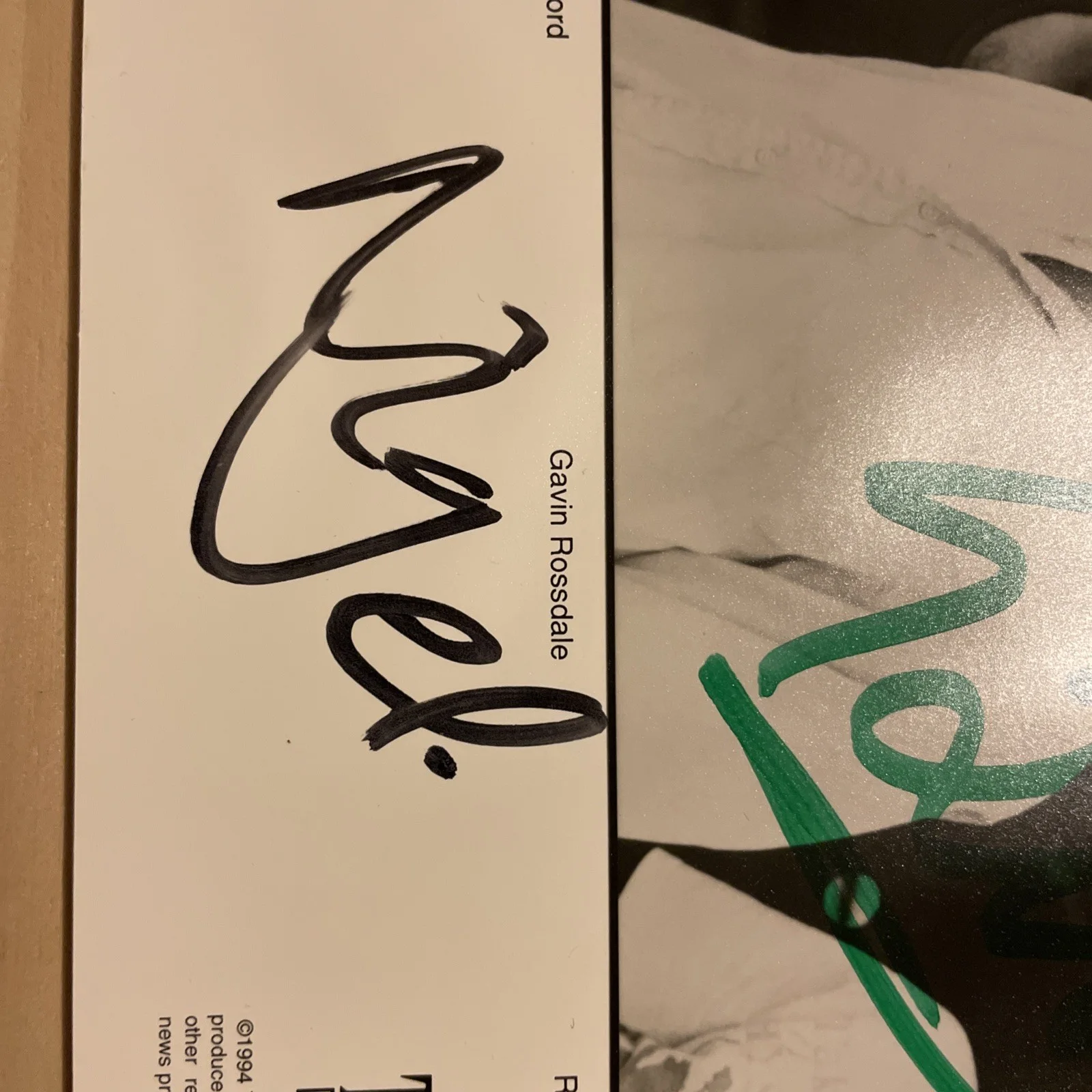 BUSH Gavin Rossdale autographed 8x10 Photo SIGNED By all Members 1994 RARE, image 3