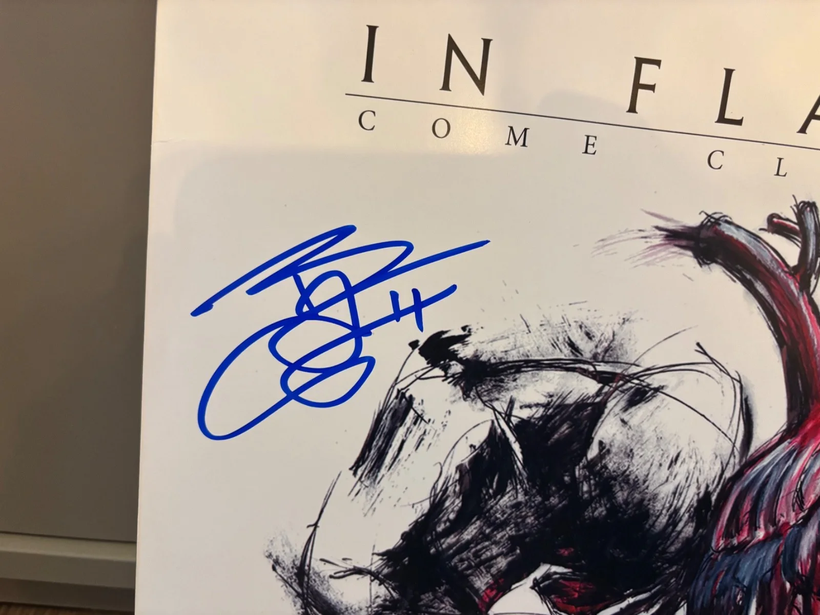 IN FLAMES SIGNED AUTOGRAPHED RED LP VINYL COME CLARITY ANDERS & BJORN RARE W/INS, изображение 3