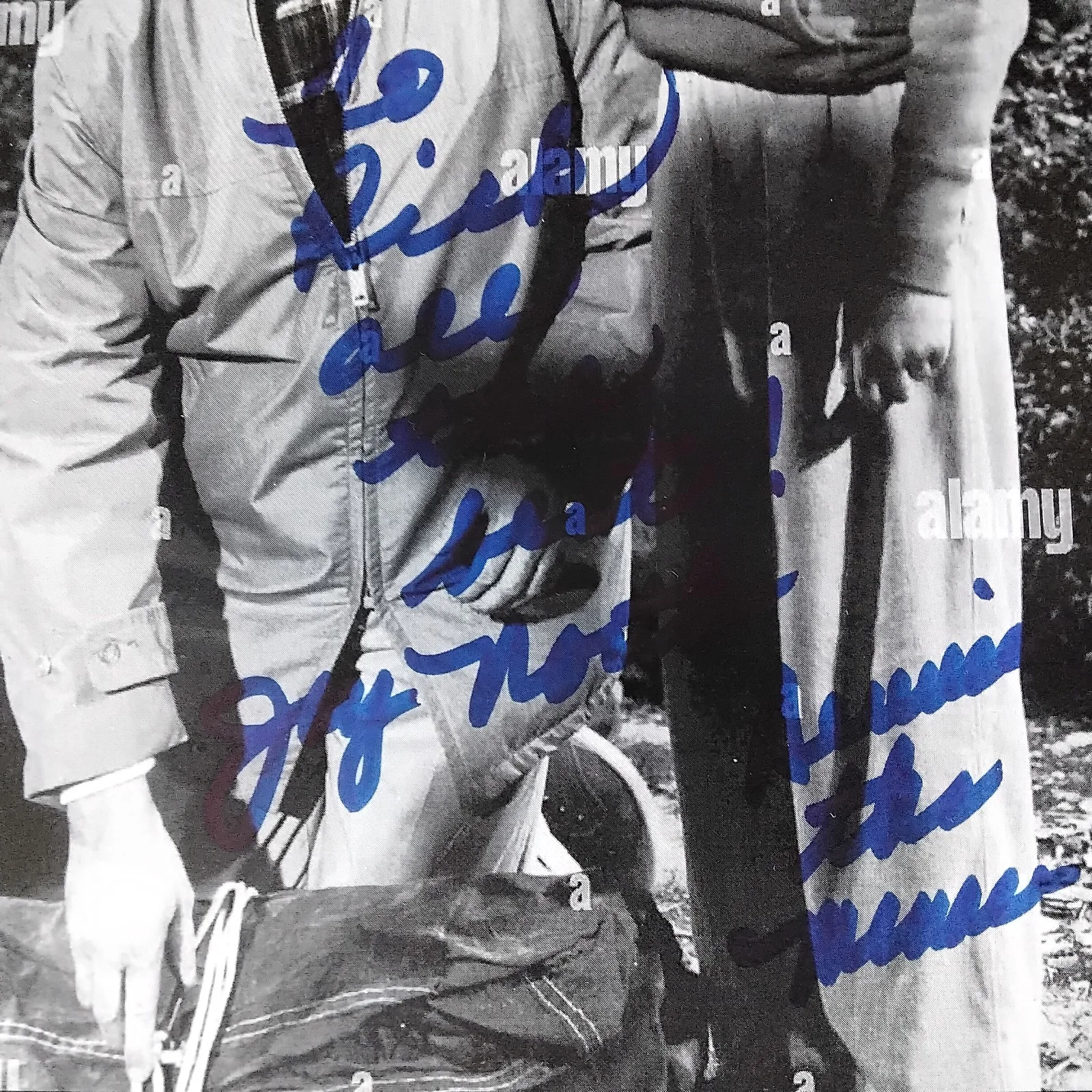 Jay North SIGNED Paper Photo 60s TV Movie Child Actor Dennis the Menance Maya, изображение 4