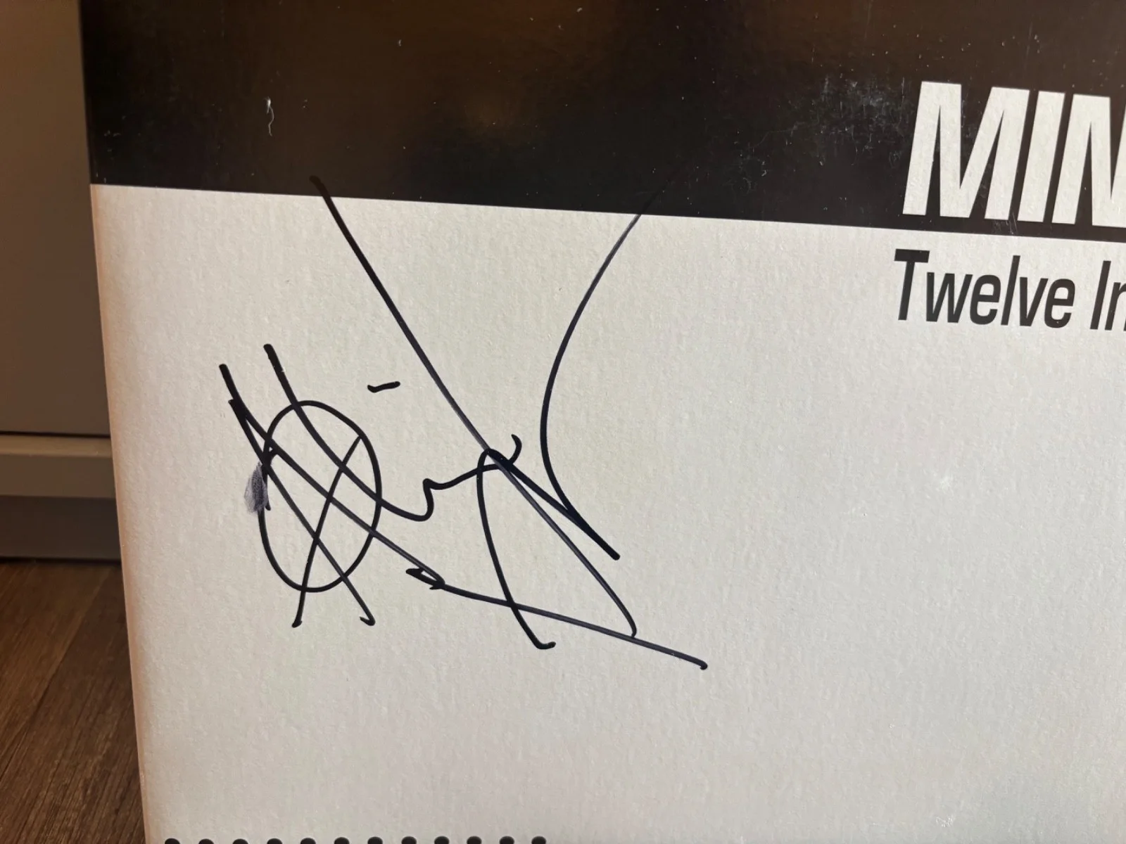 MINISTRY SIGNED AUTOGRAPHED LP VINYL RARE TWELVE SINGLE AL JOURGENSEN IN PERSON, изображение 2