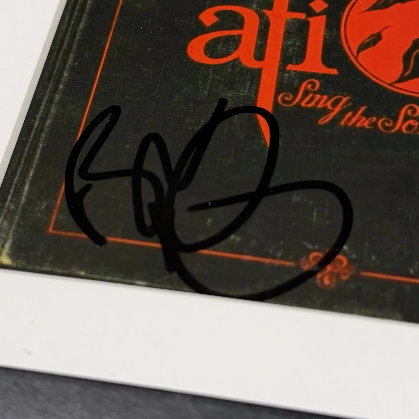 BUTCH VIG PRODUCER SIGNED AFI SING THE SORROW ALBUM CD FRAMED AUTOGRAPH PSA COA, изображение 3